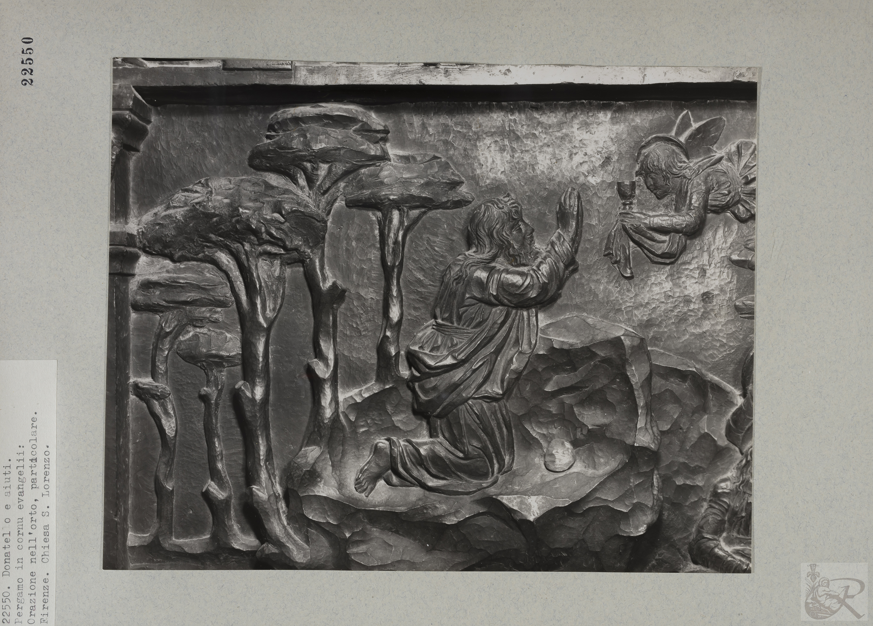 Immagine di anteprima