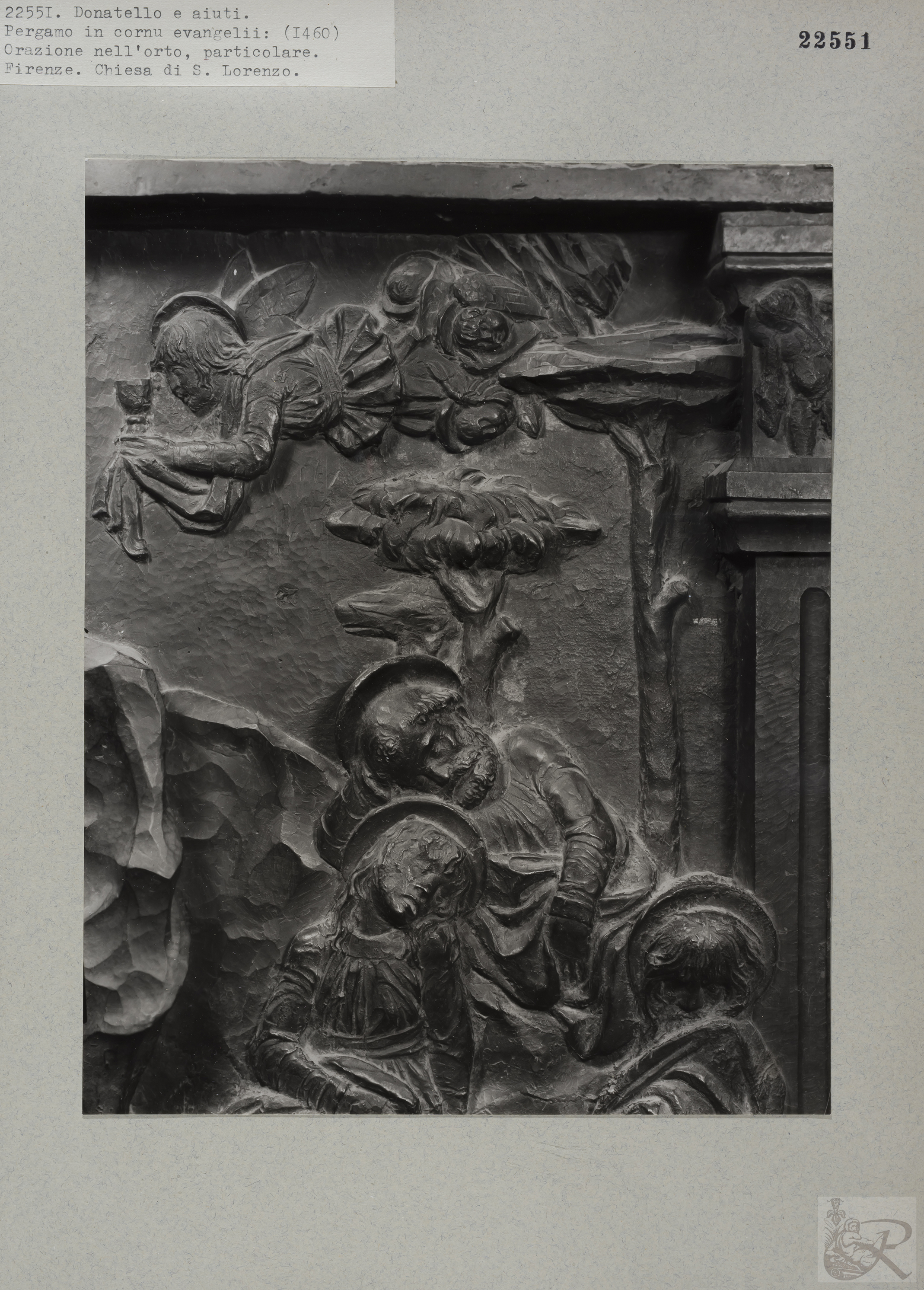 Immagine di anteprima