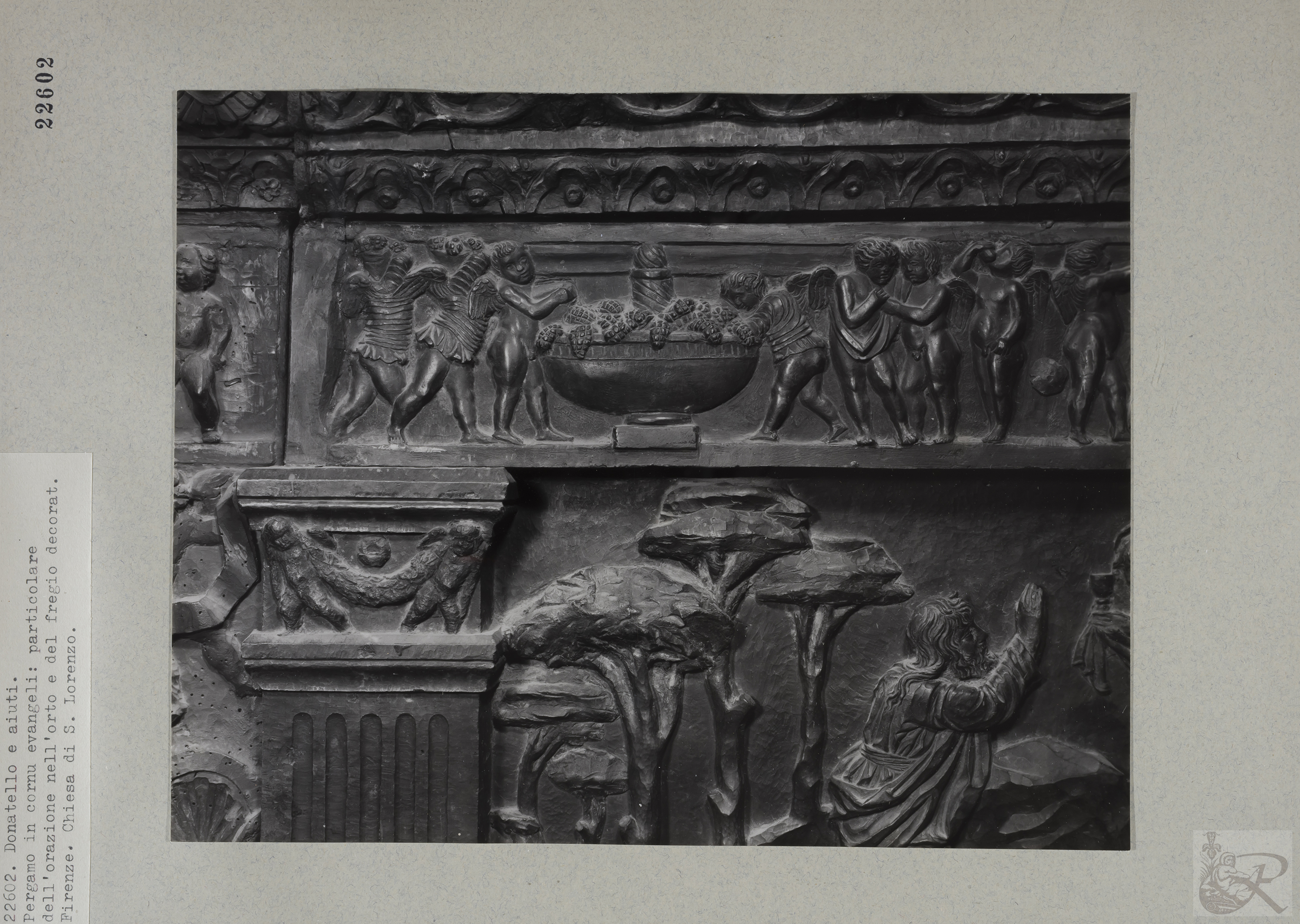 Immagine di anteprima