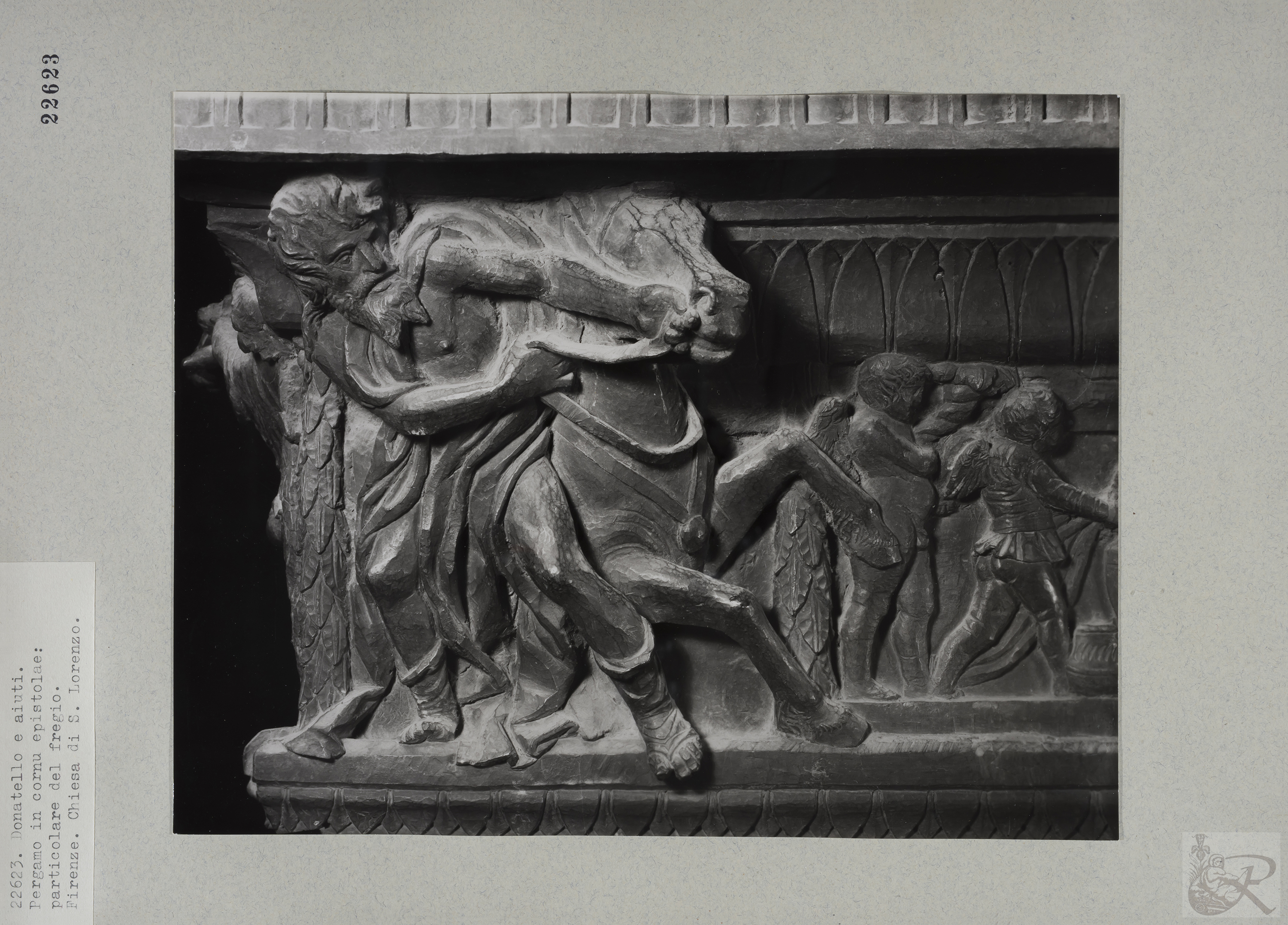 Immagine di anteprima