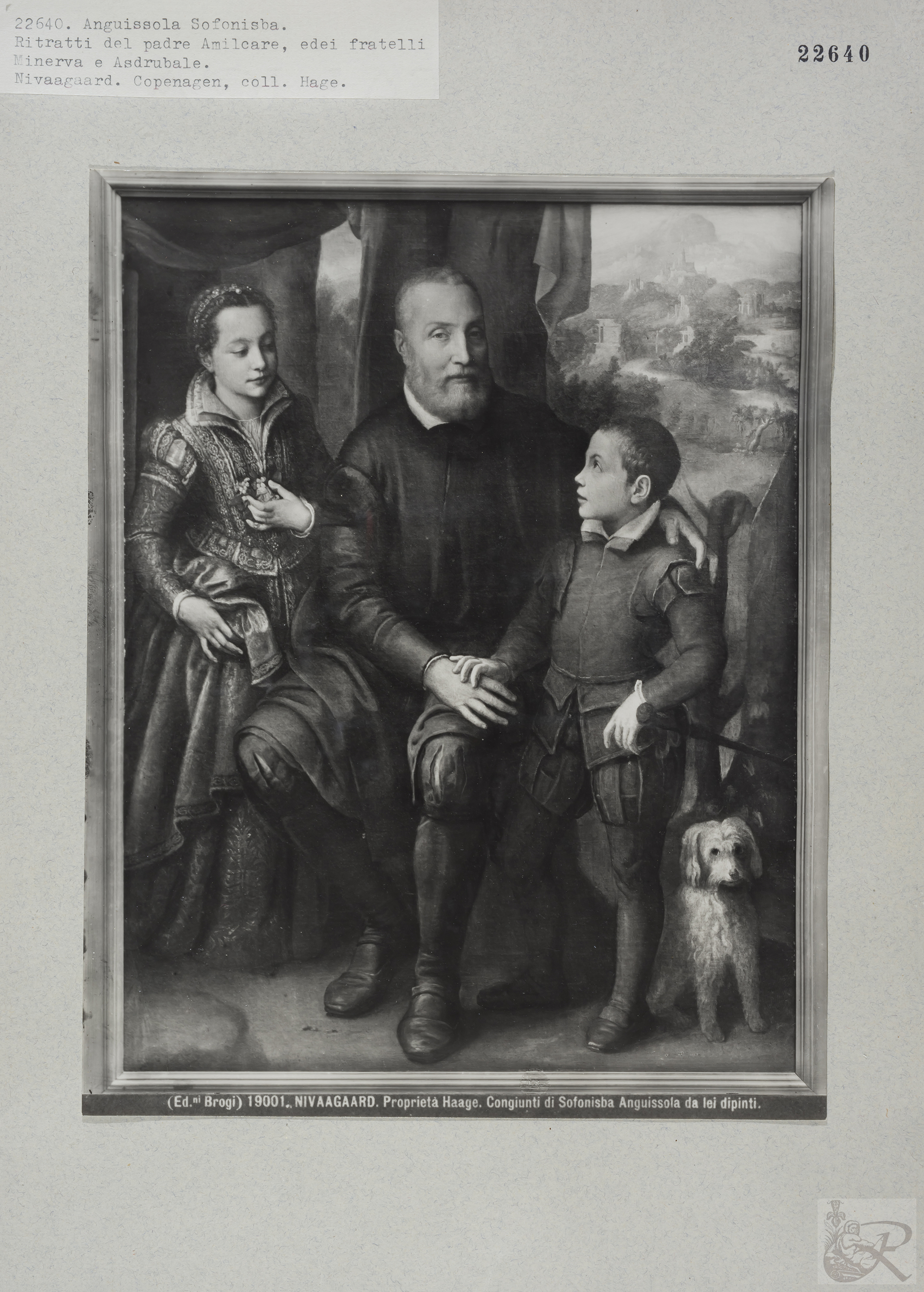 Immagine di anteprima