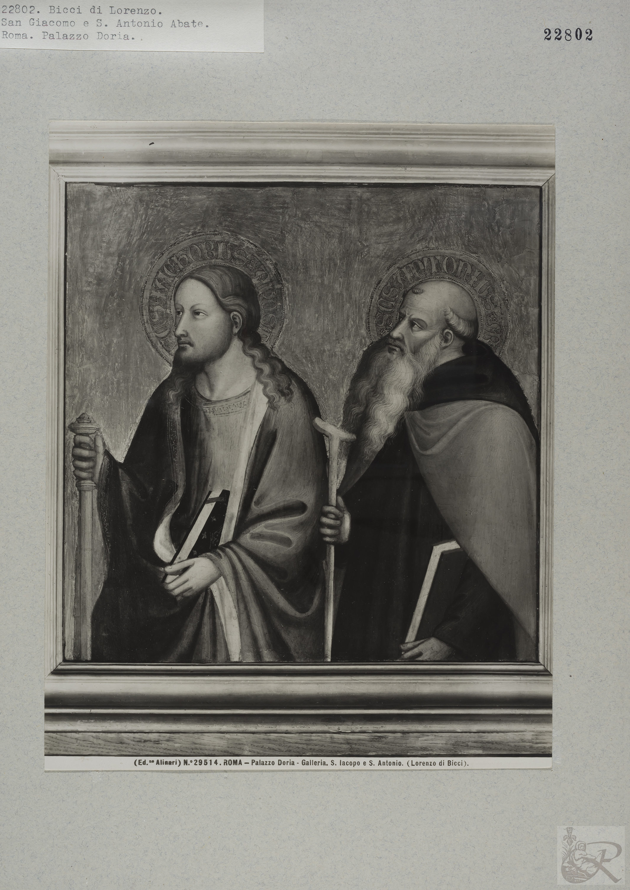 Immagine di anteprima