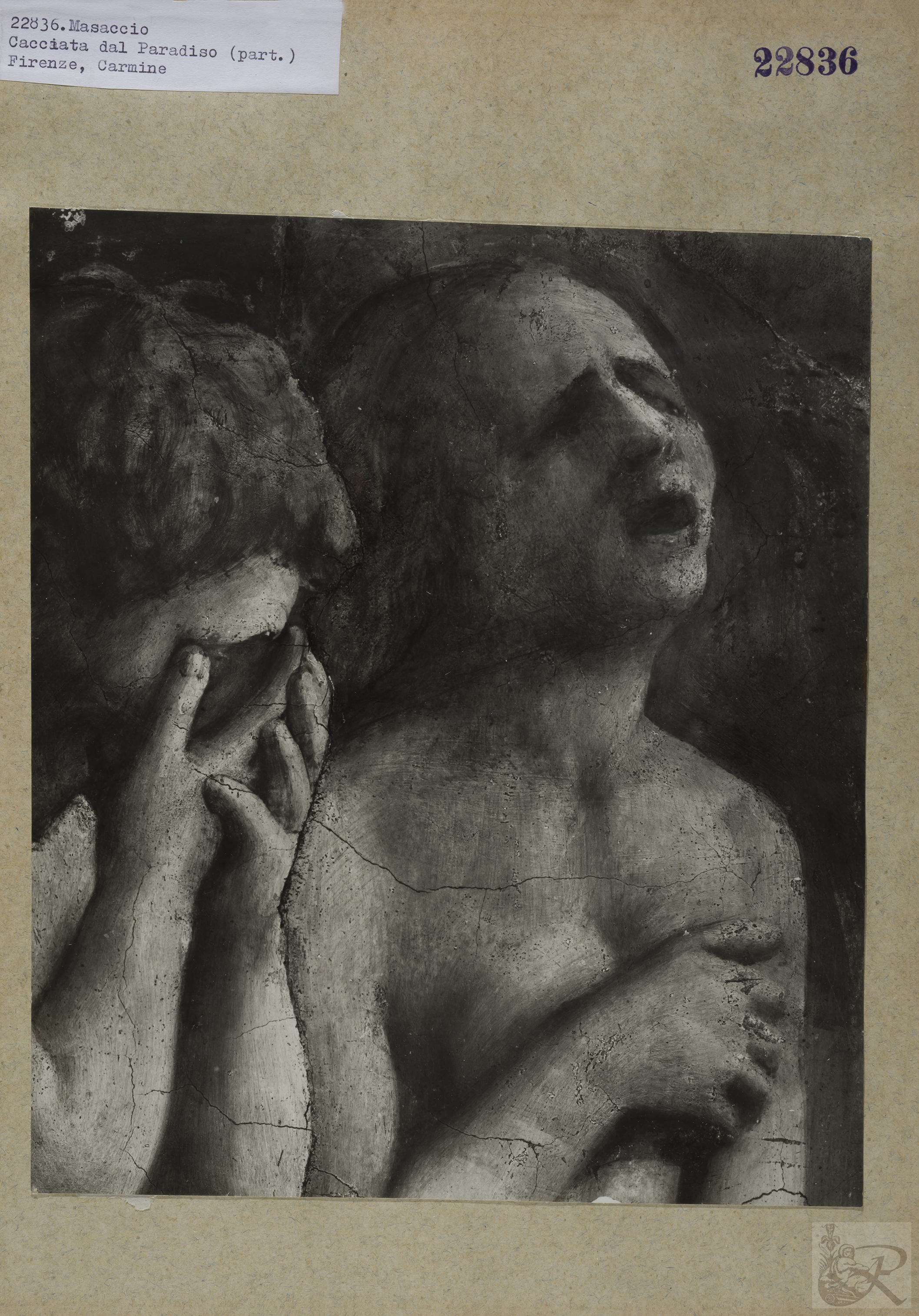 Immagine di anteprima