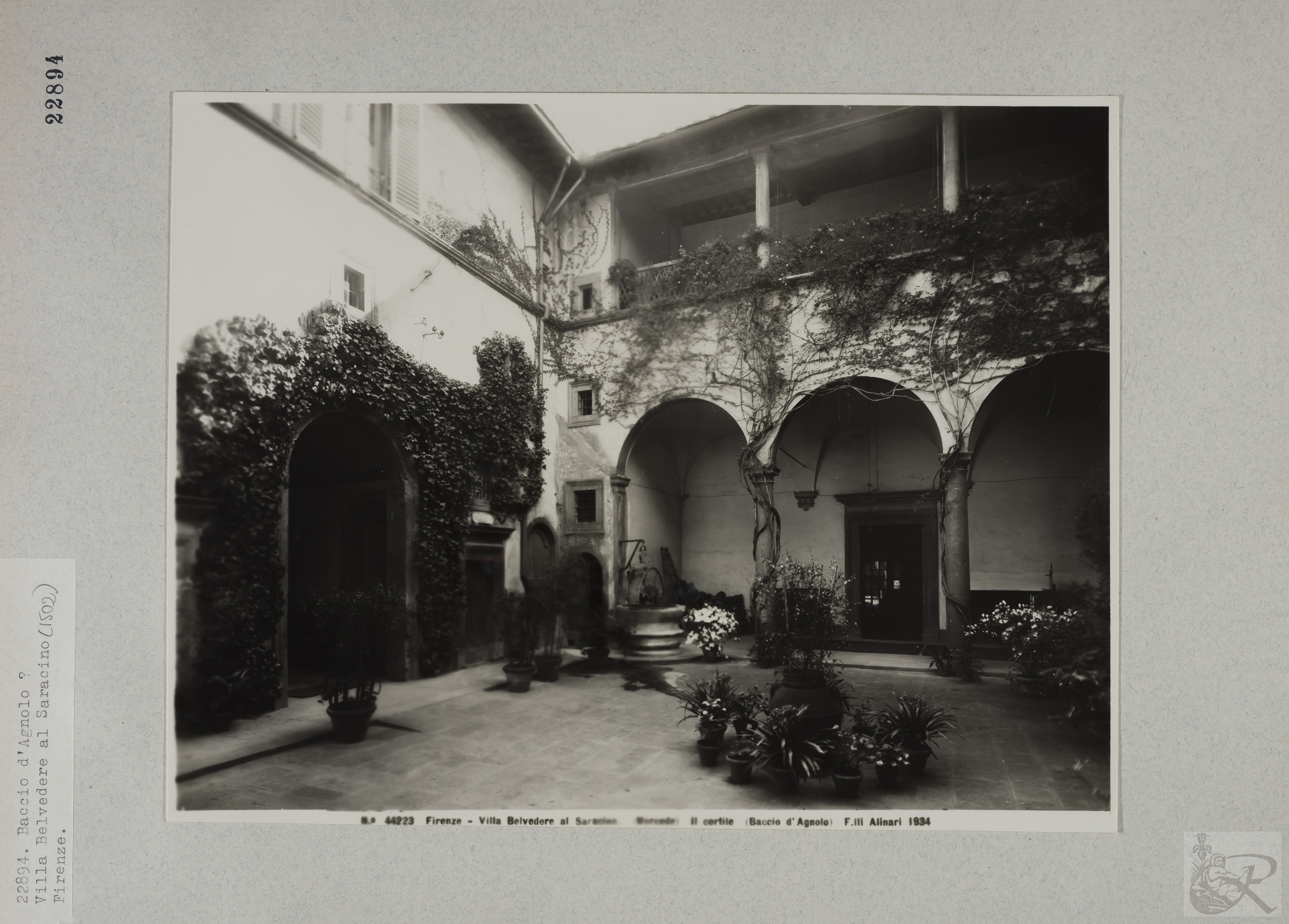 Immagine di anteprima