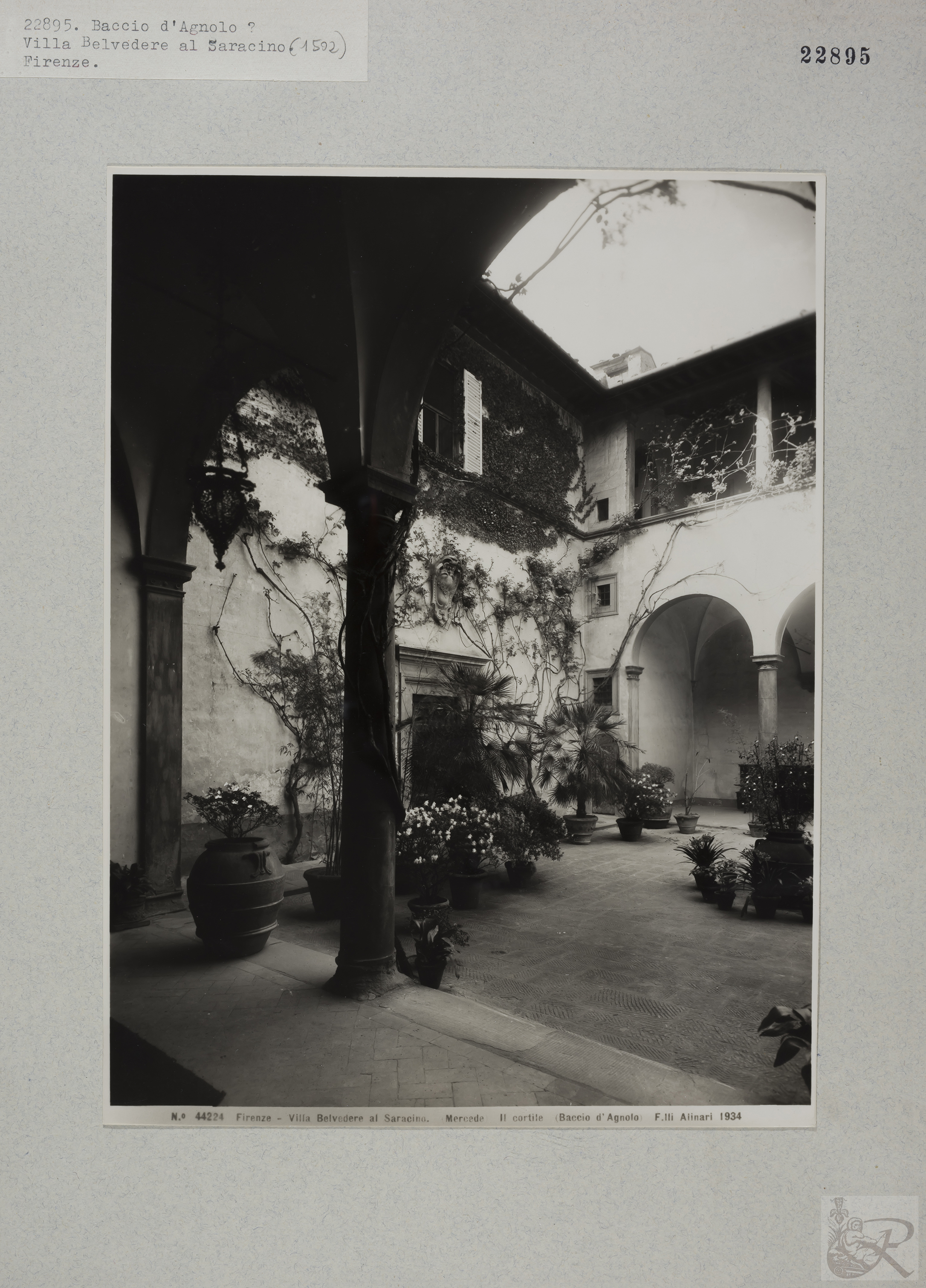 Immagine di anteprima