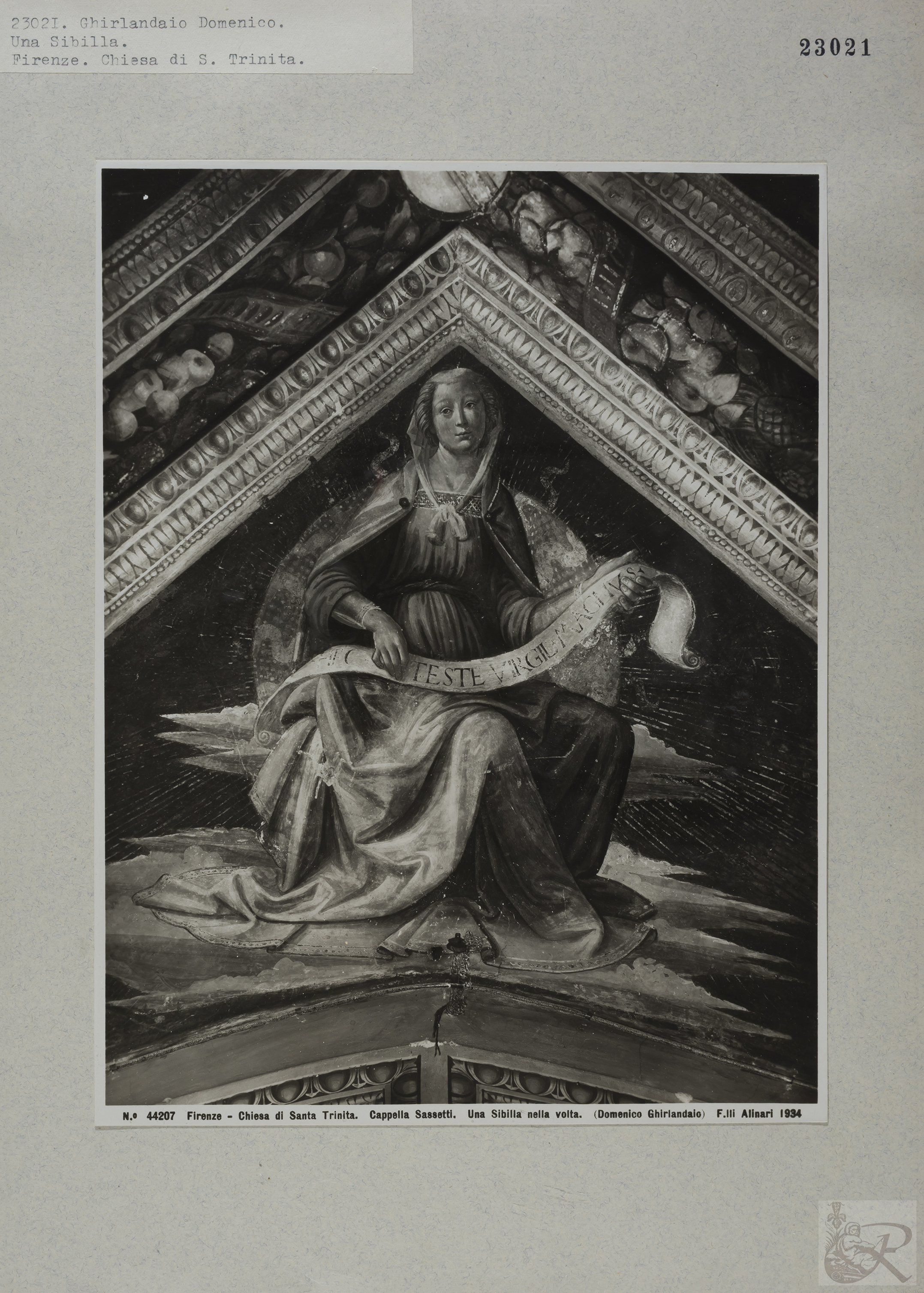 Immagine di anteprima