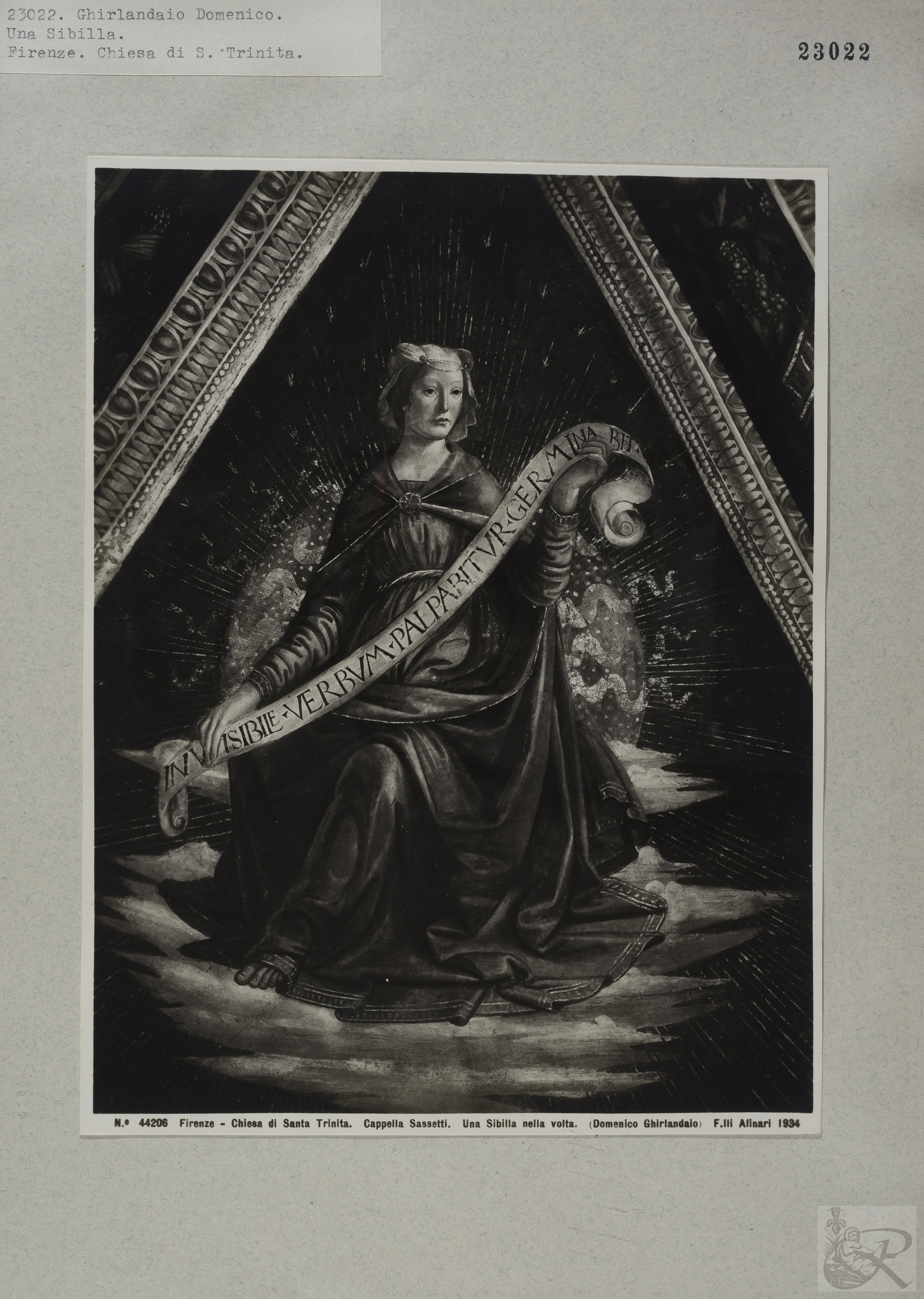 Immagine di anteprima