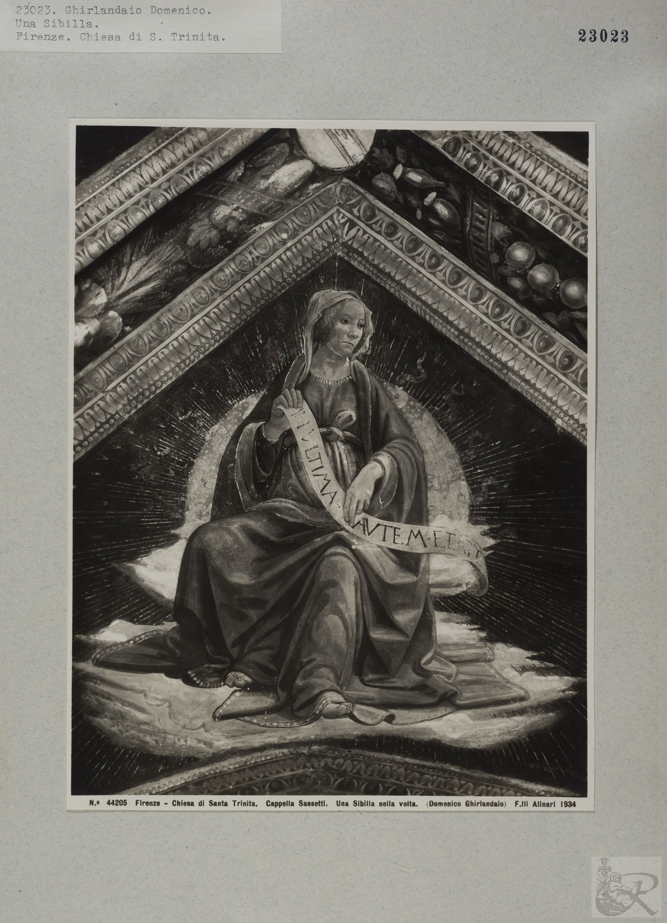 Immagine di anteprima