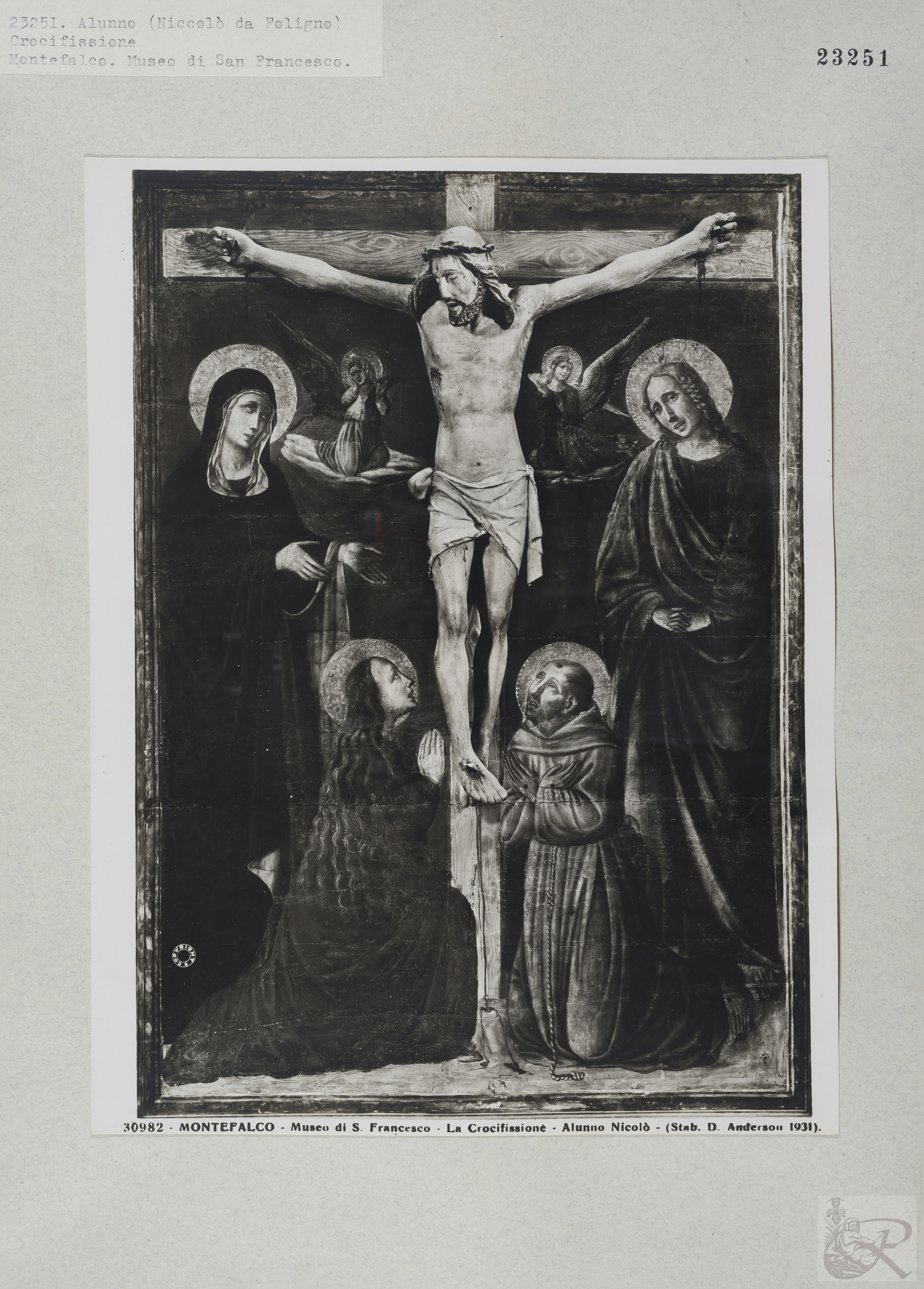 Immagine di anteprima