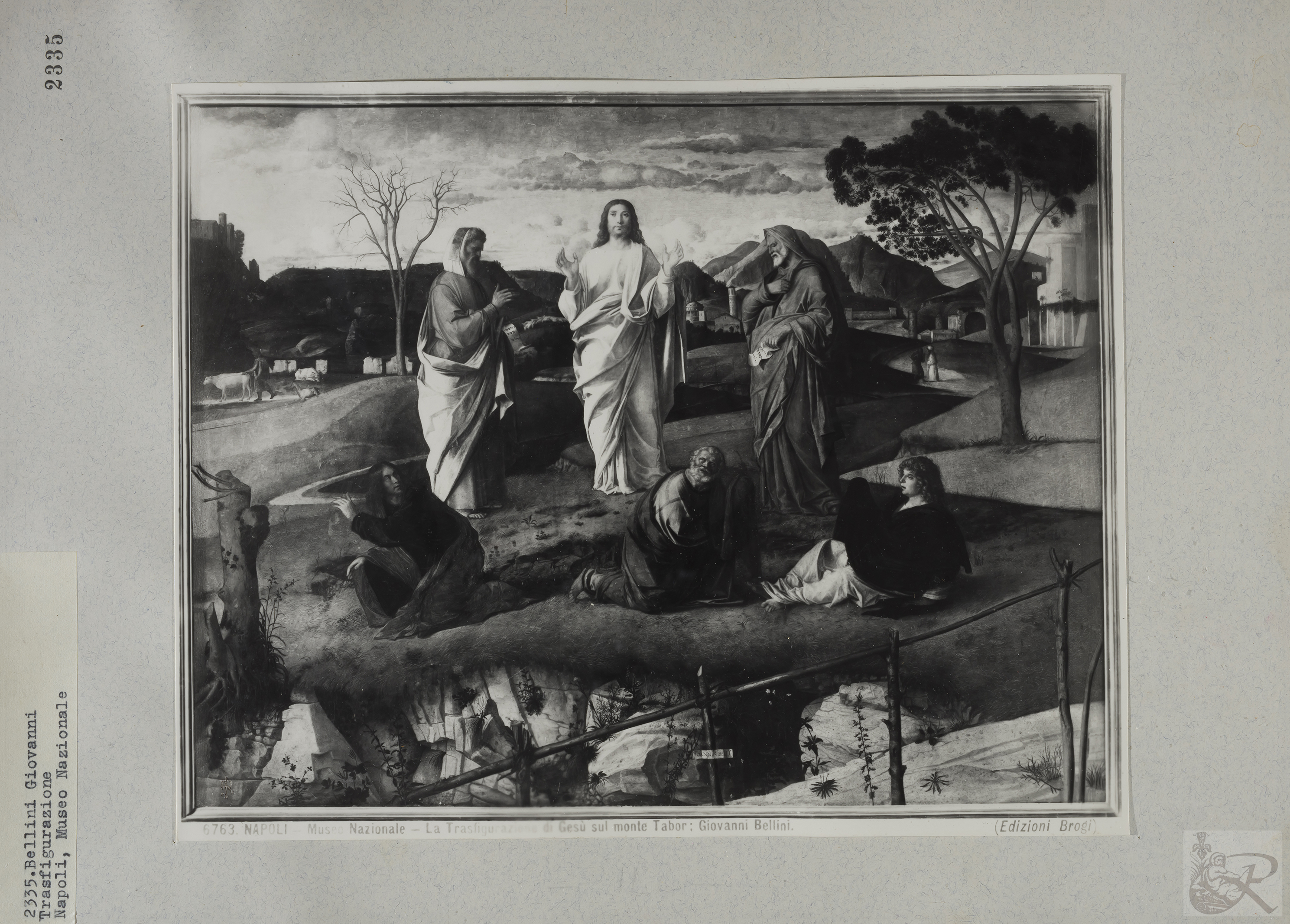 Immagine di anteprima