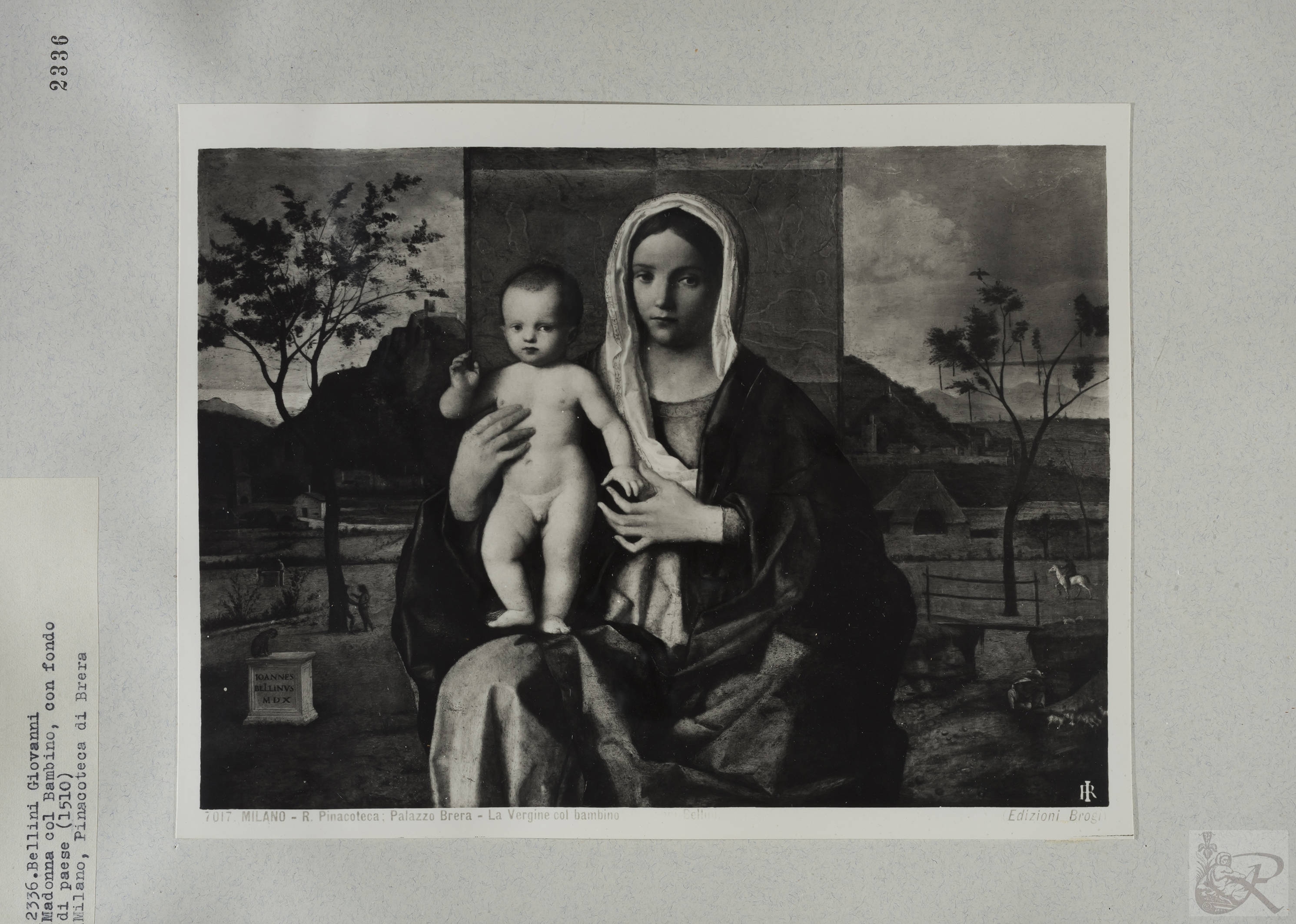 Immagine di anteprima