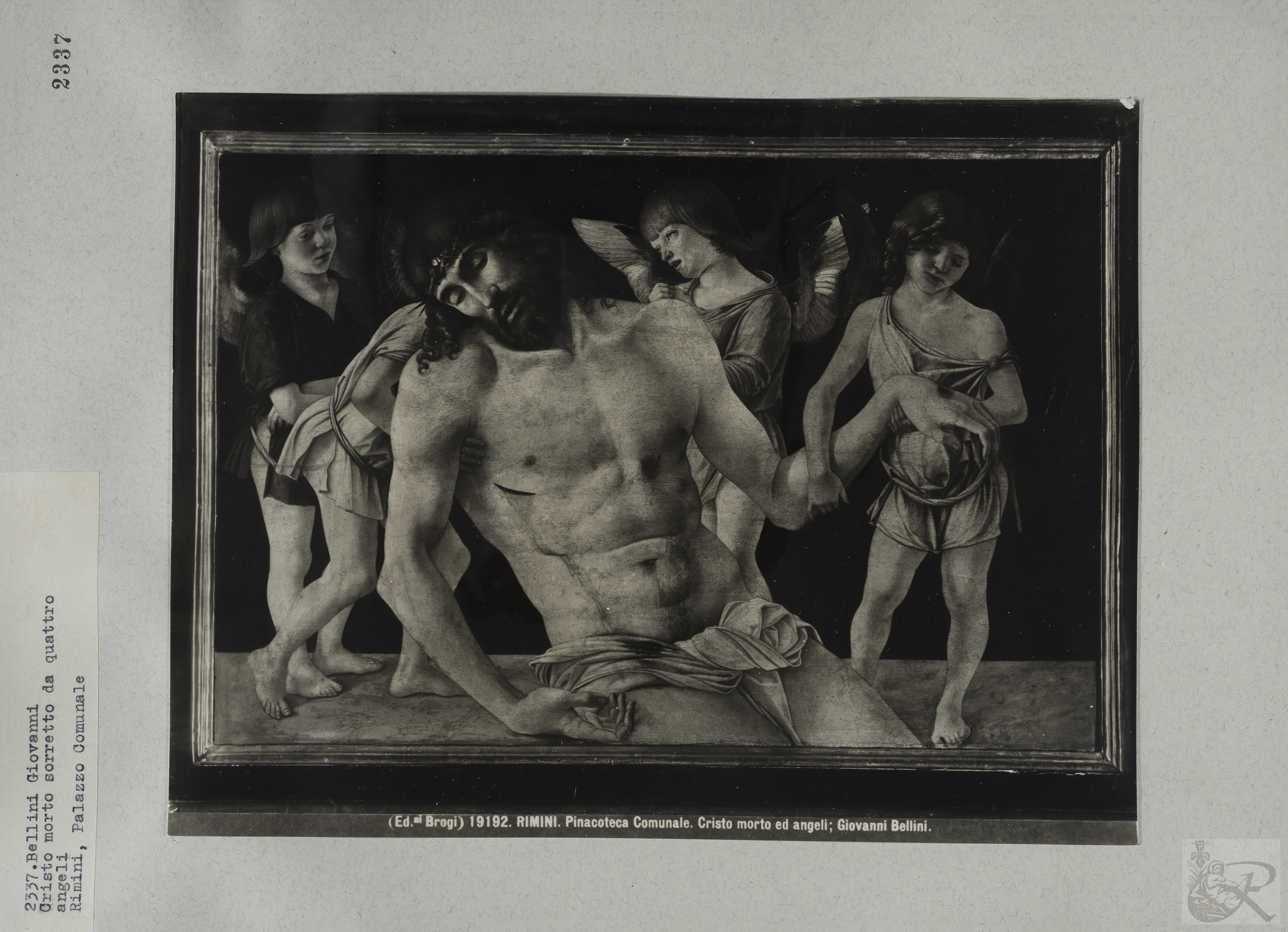 Immagine di anteprima