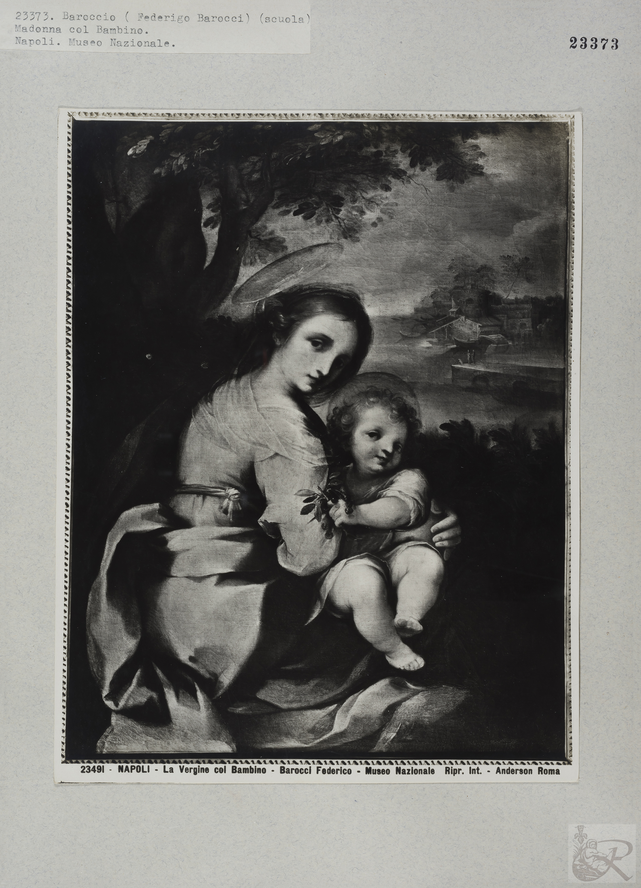 Immagine di anteprima