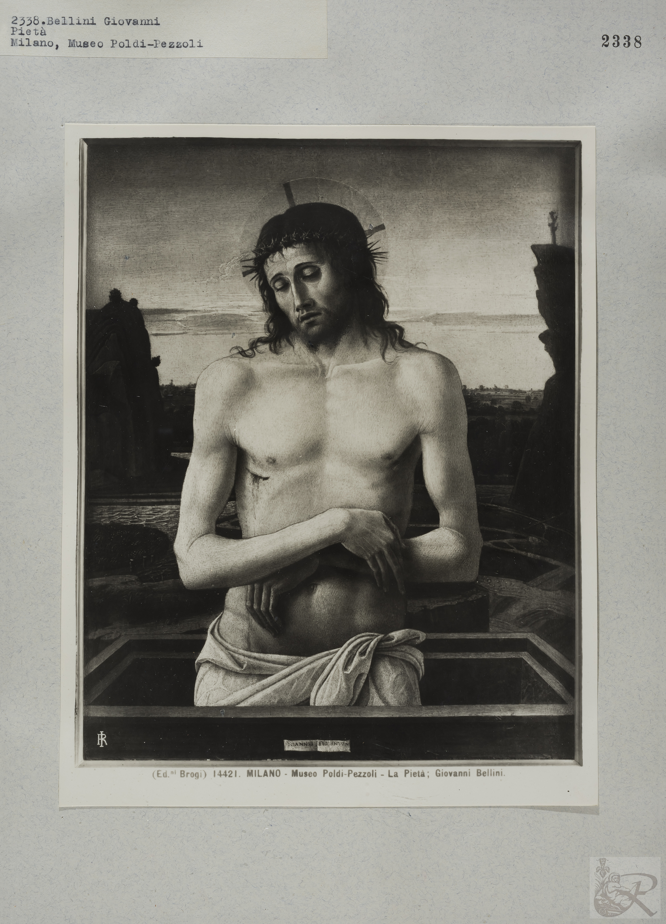 Immagine di anteprima