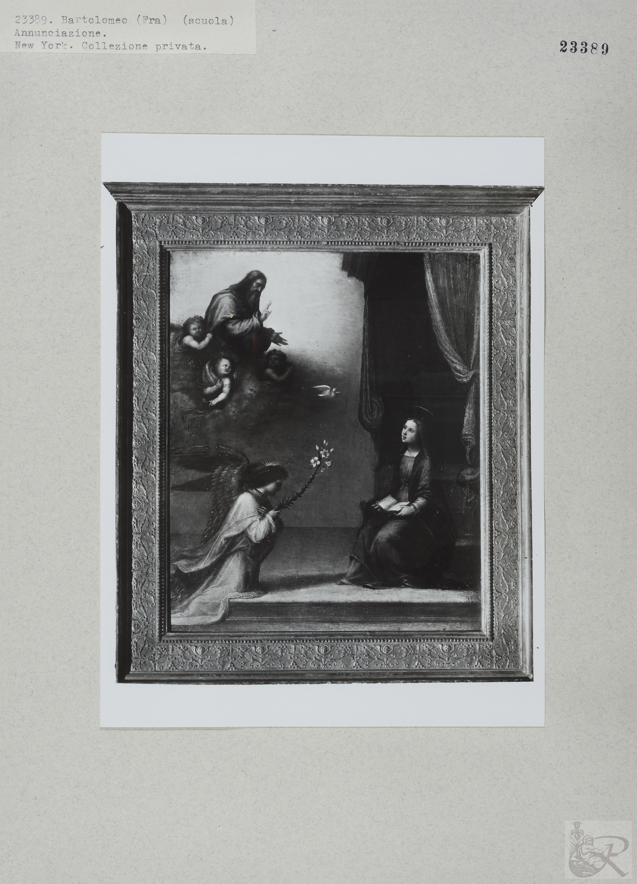 Immagine di anteprima