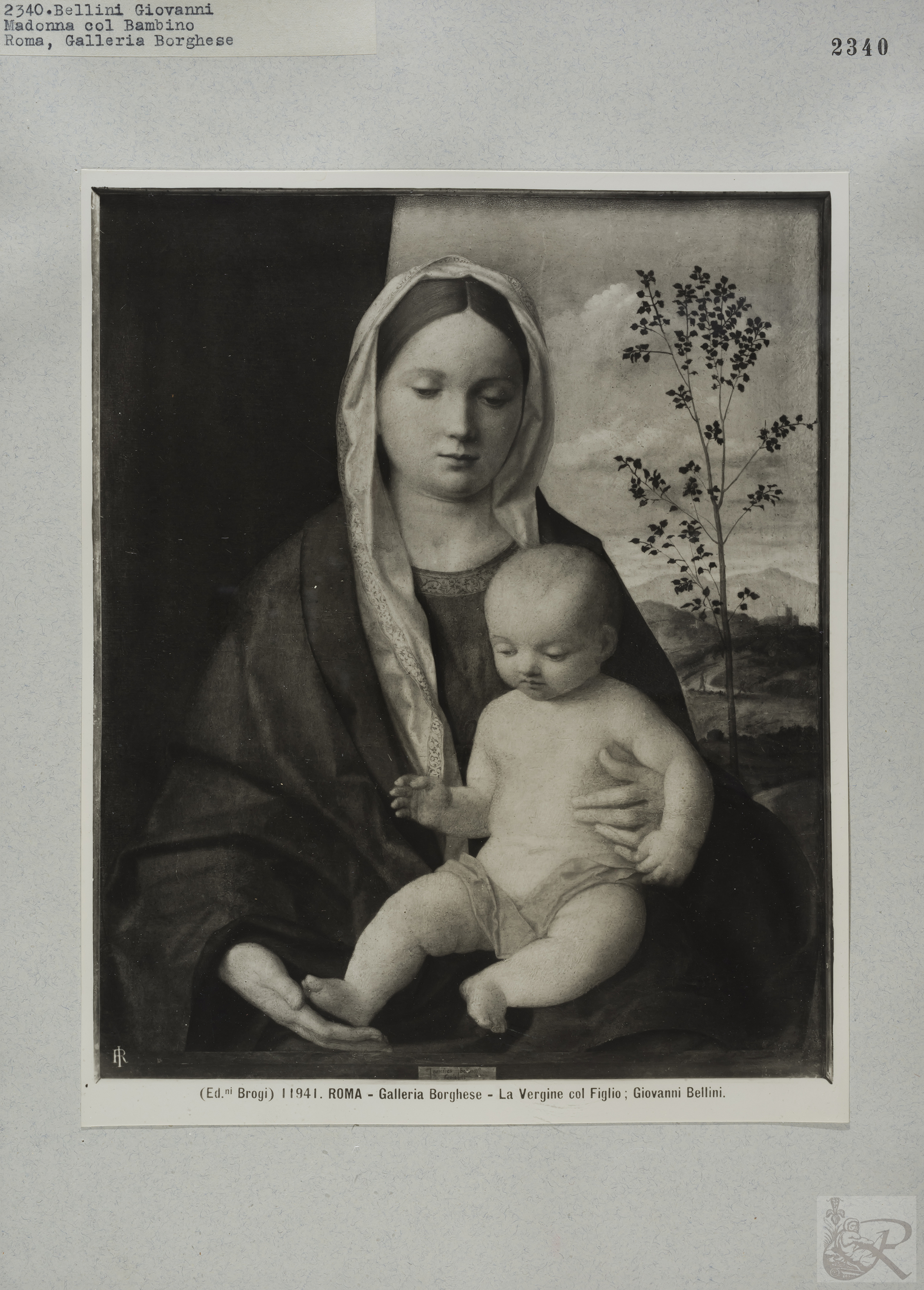 Immagine di anteprima