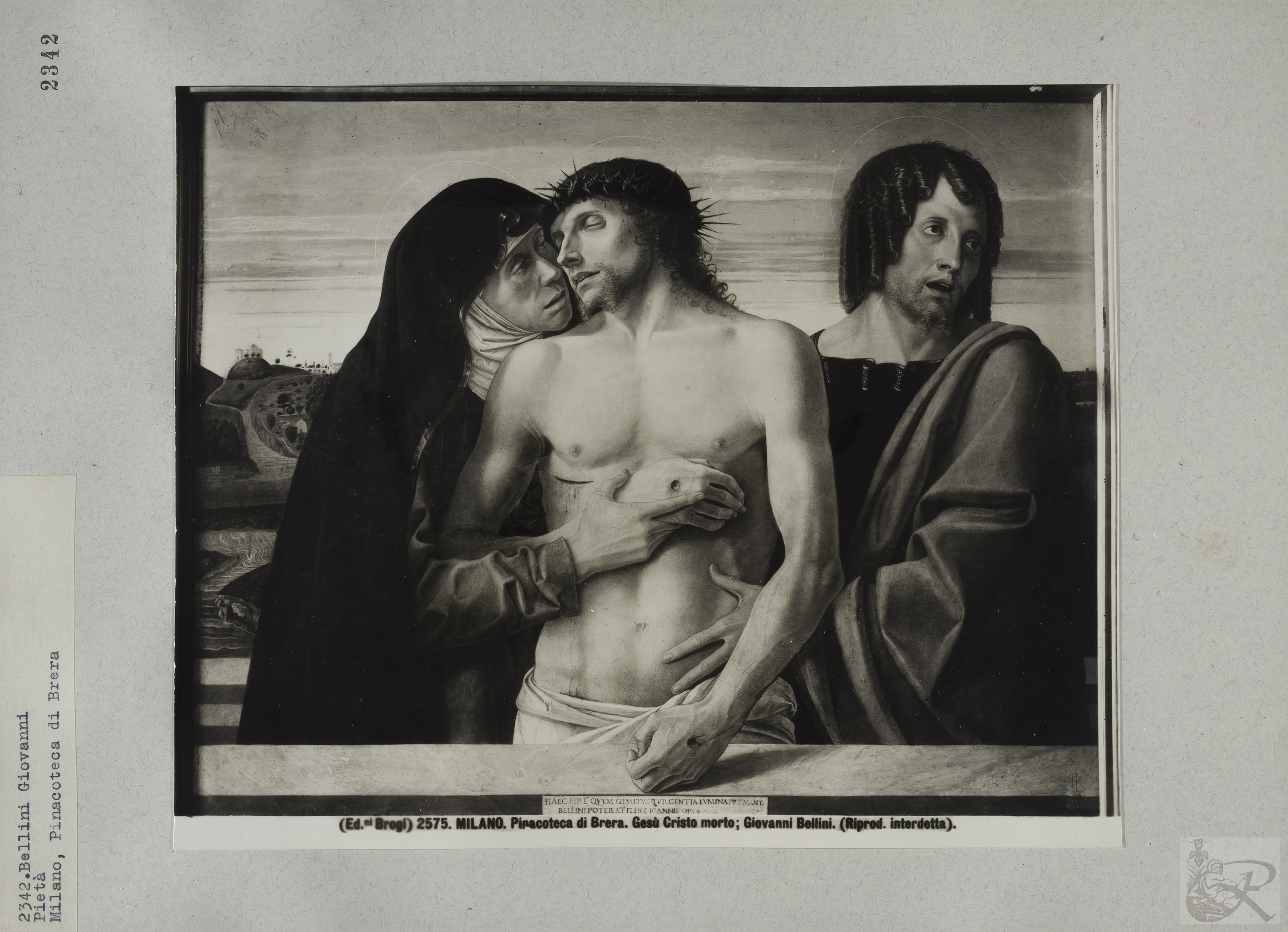 Immagine di anteprima