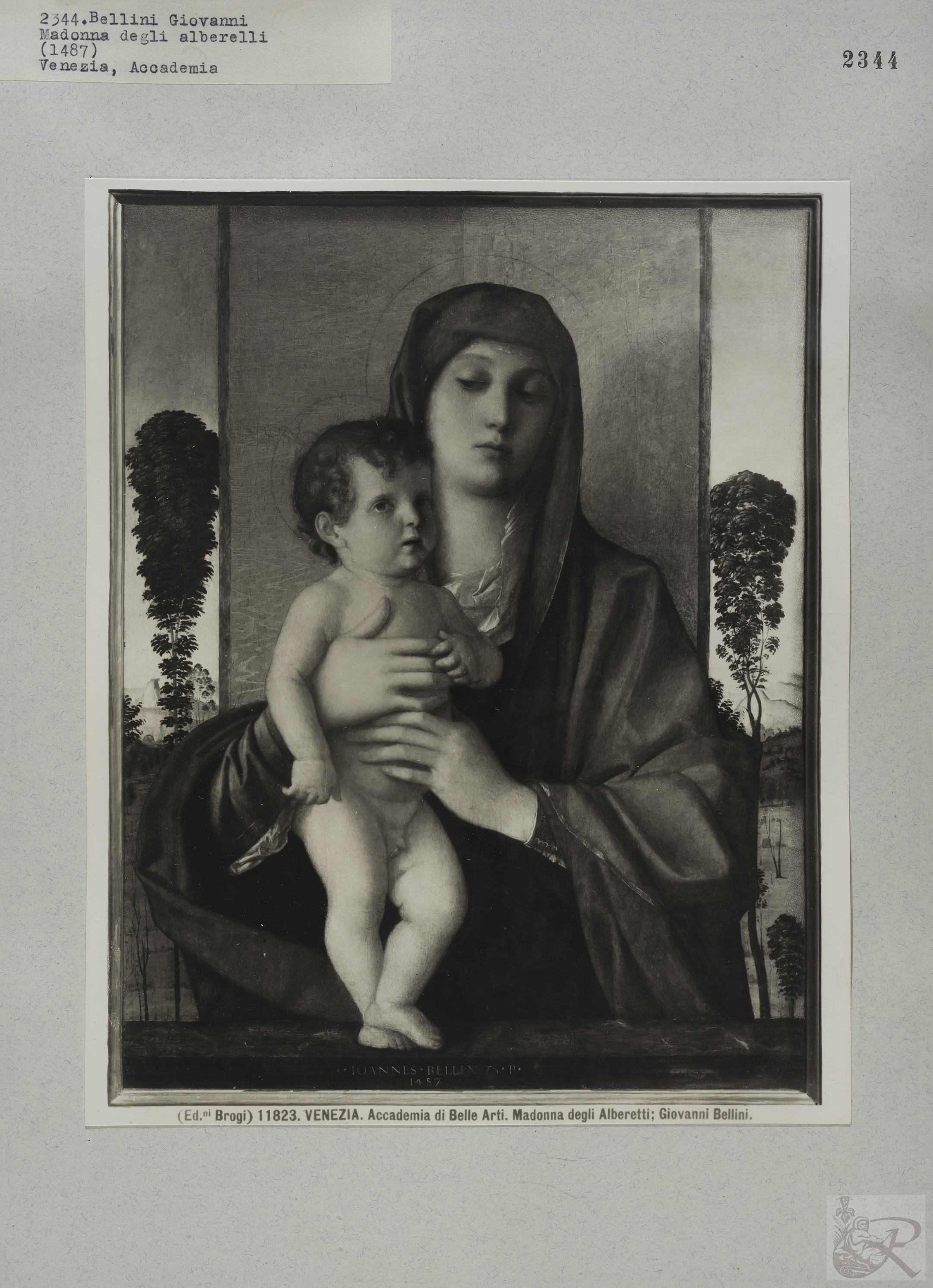 Immagine di anteprima