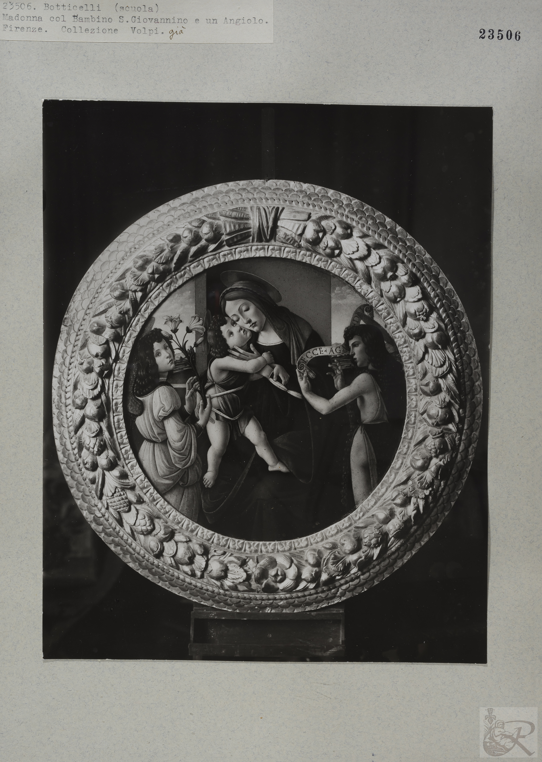 Immagine di anteprima