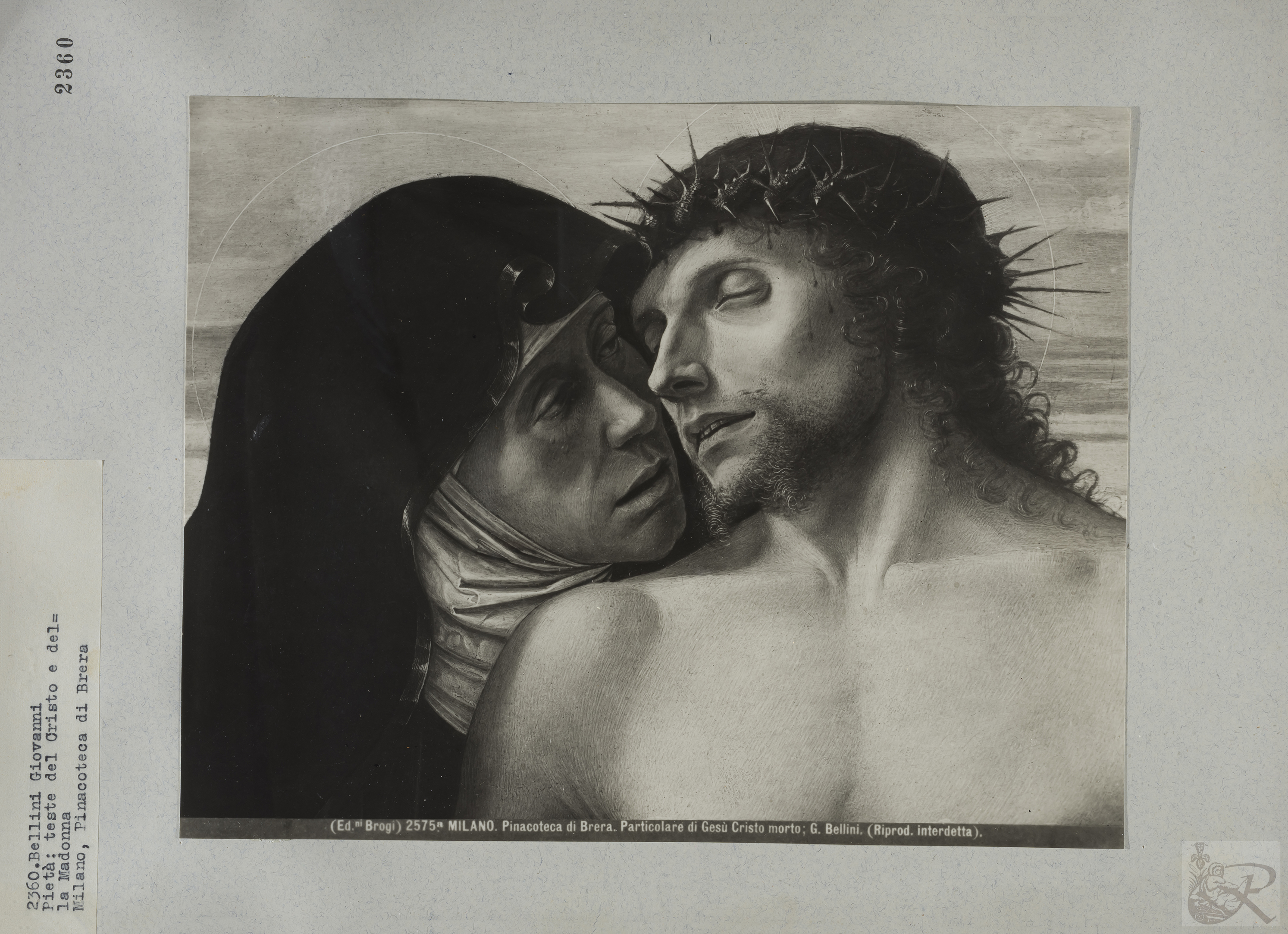 Immagine di anteprima