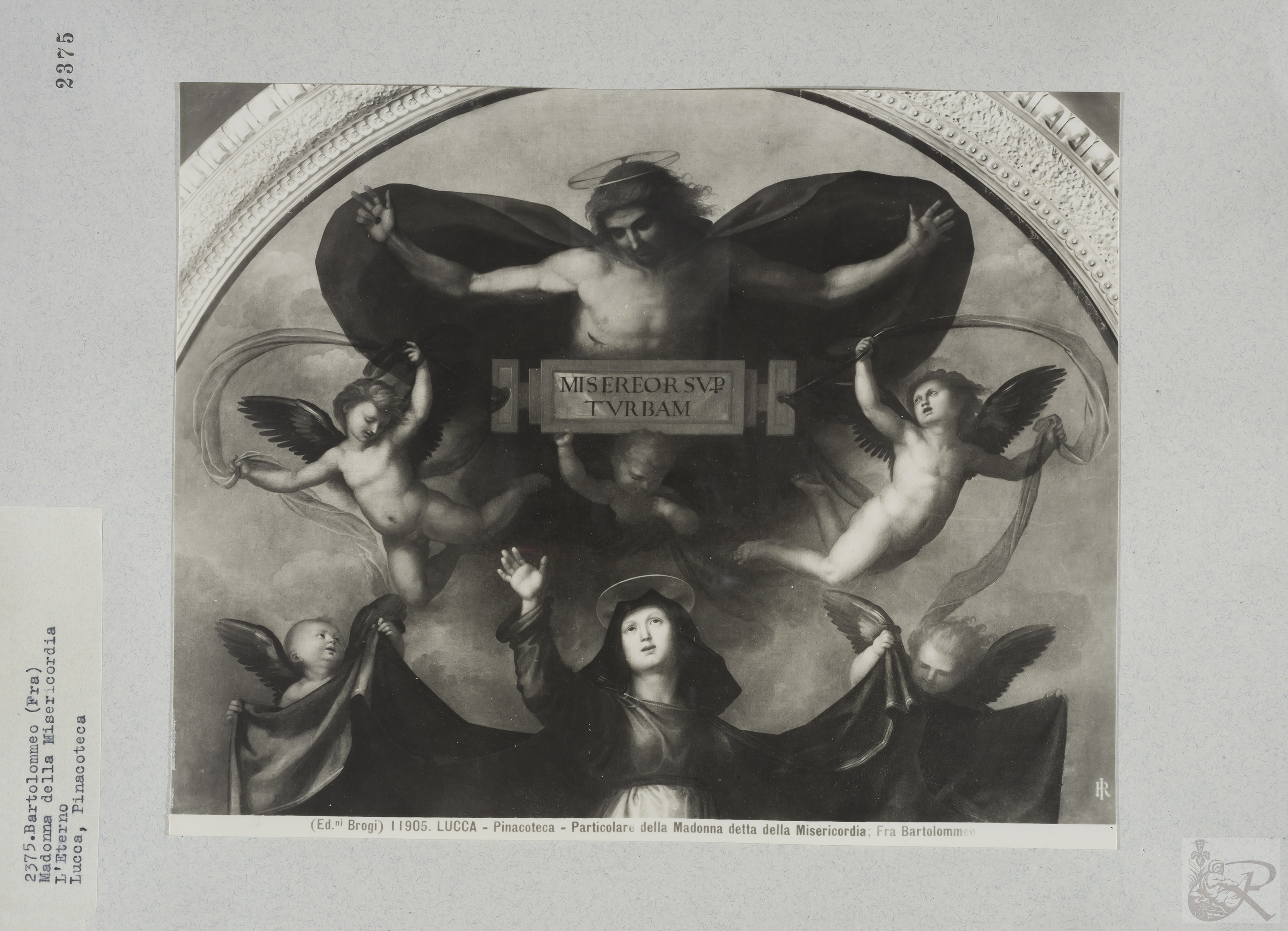 Immagine di anteprima