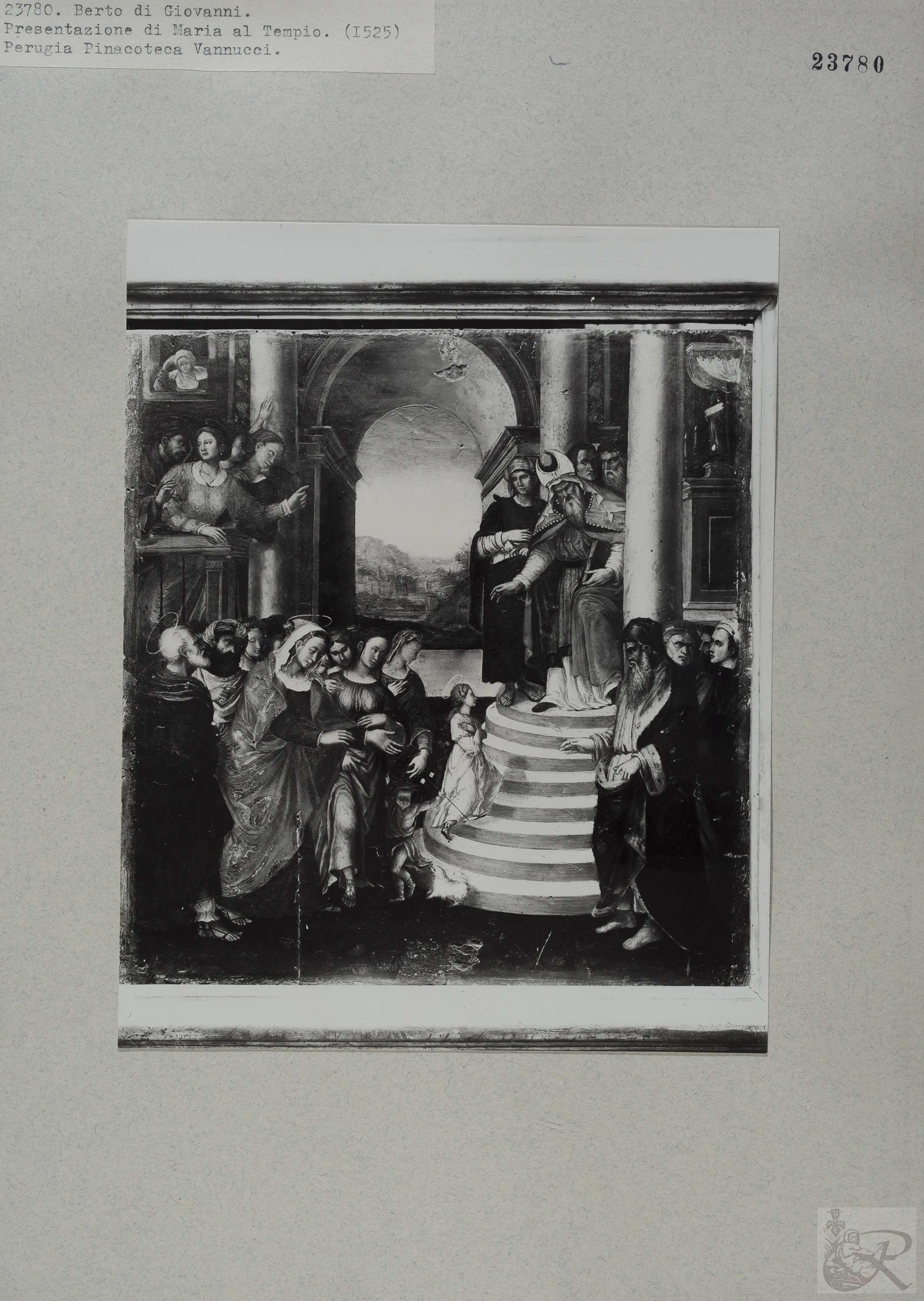 Immagine di anteprima