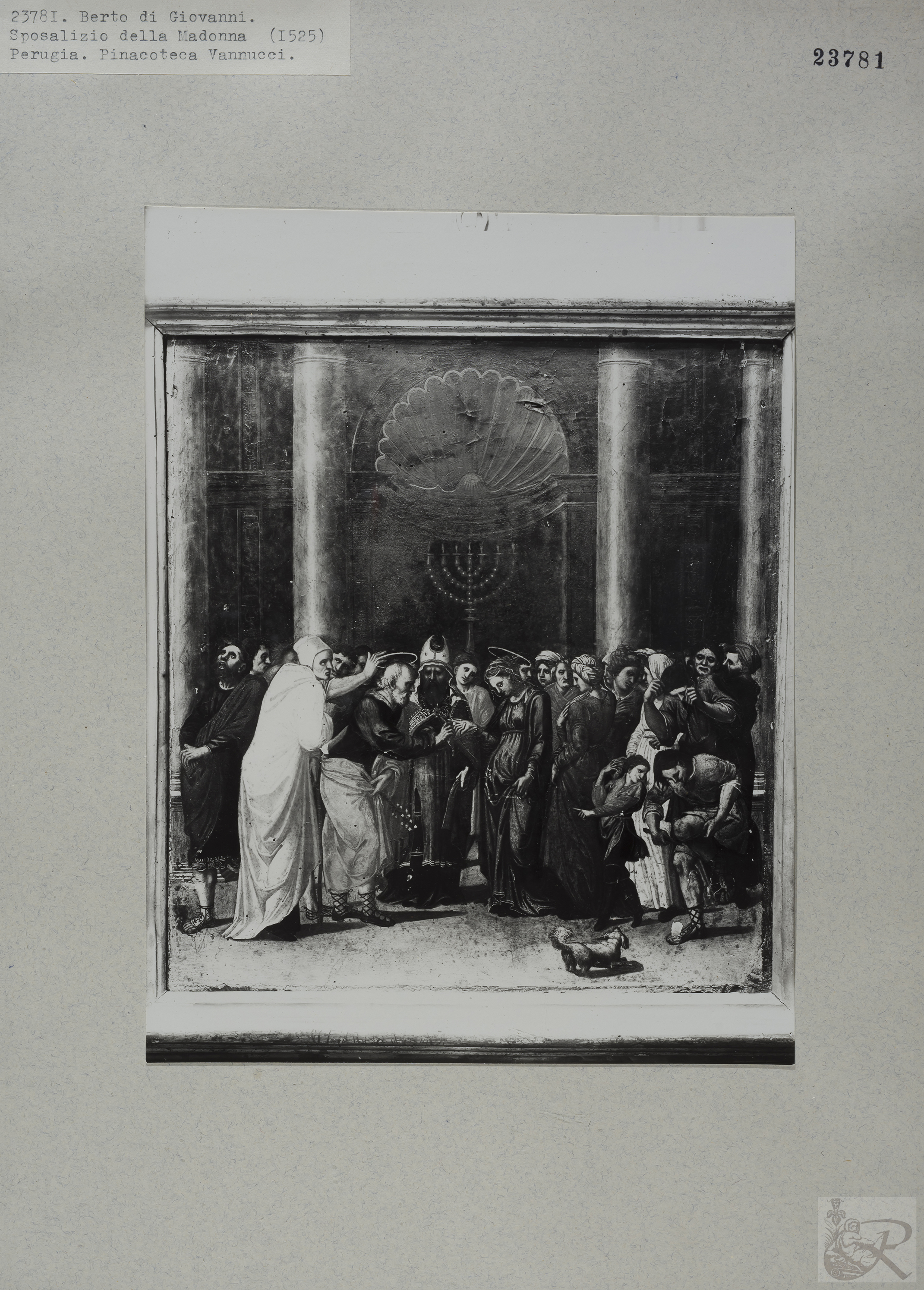 Immagine di anteprima