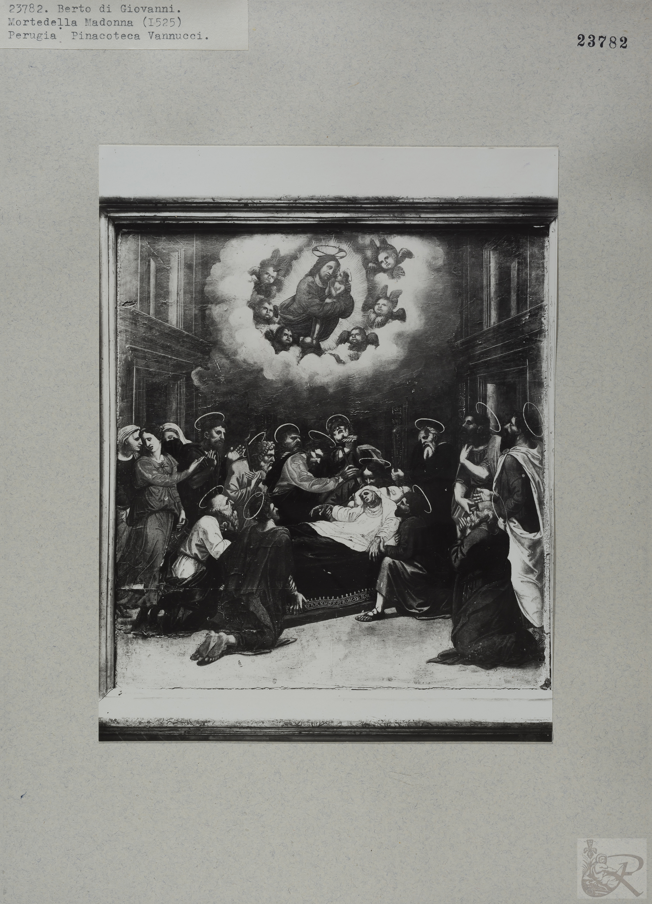 Immagine di anteprima