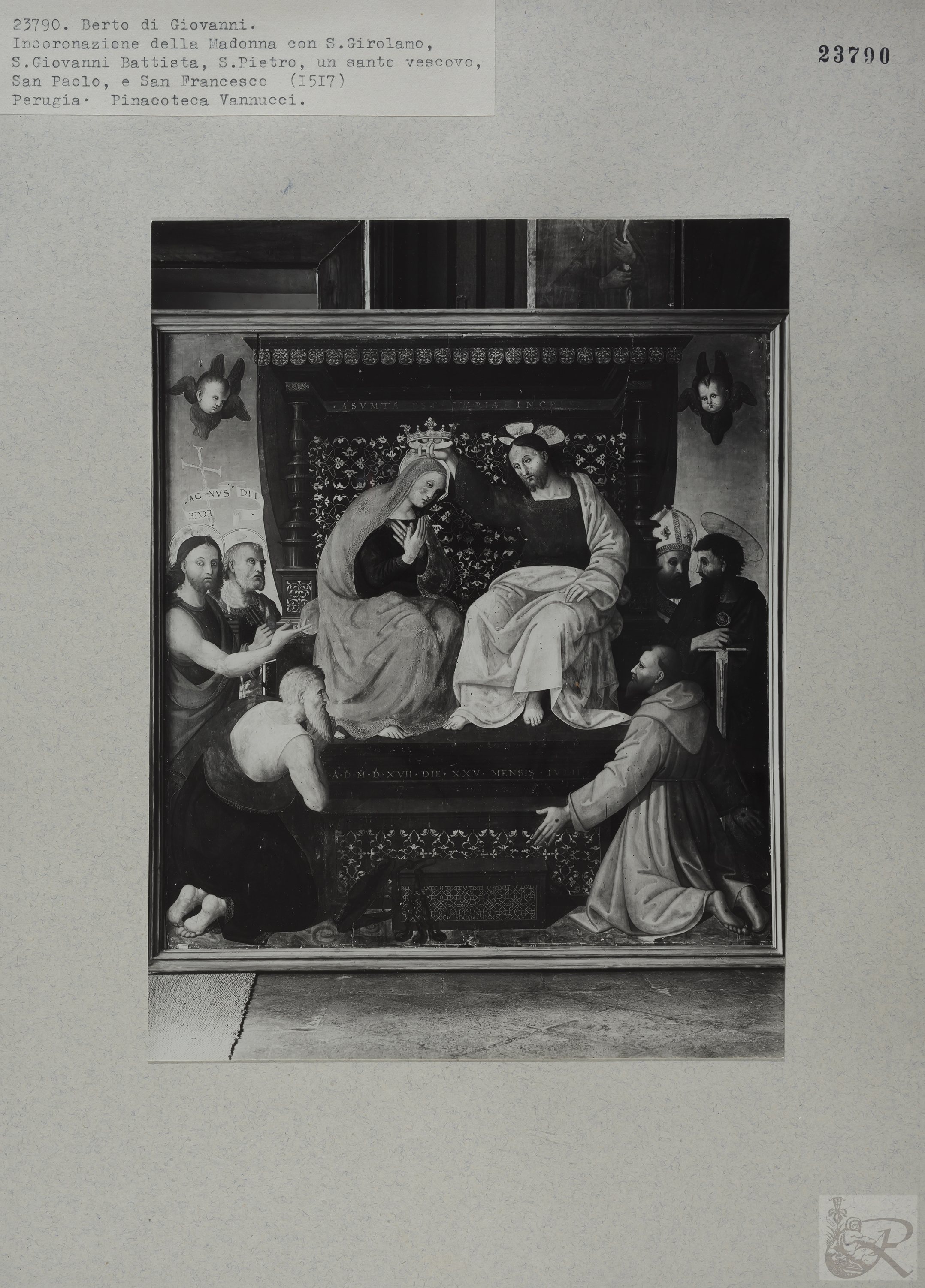 Immagine di anteprima