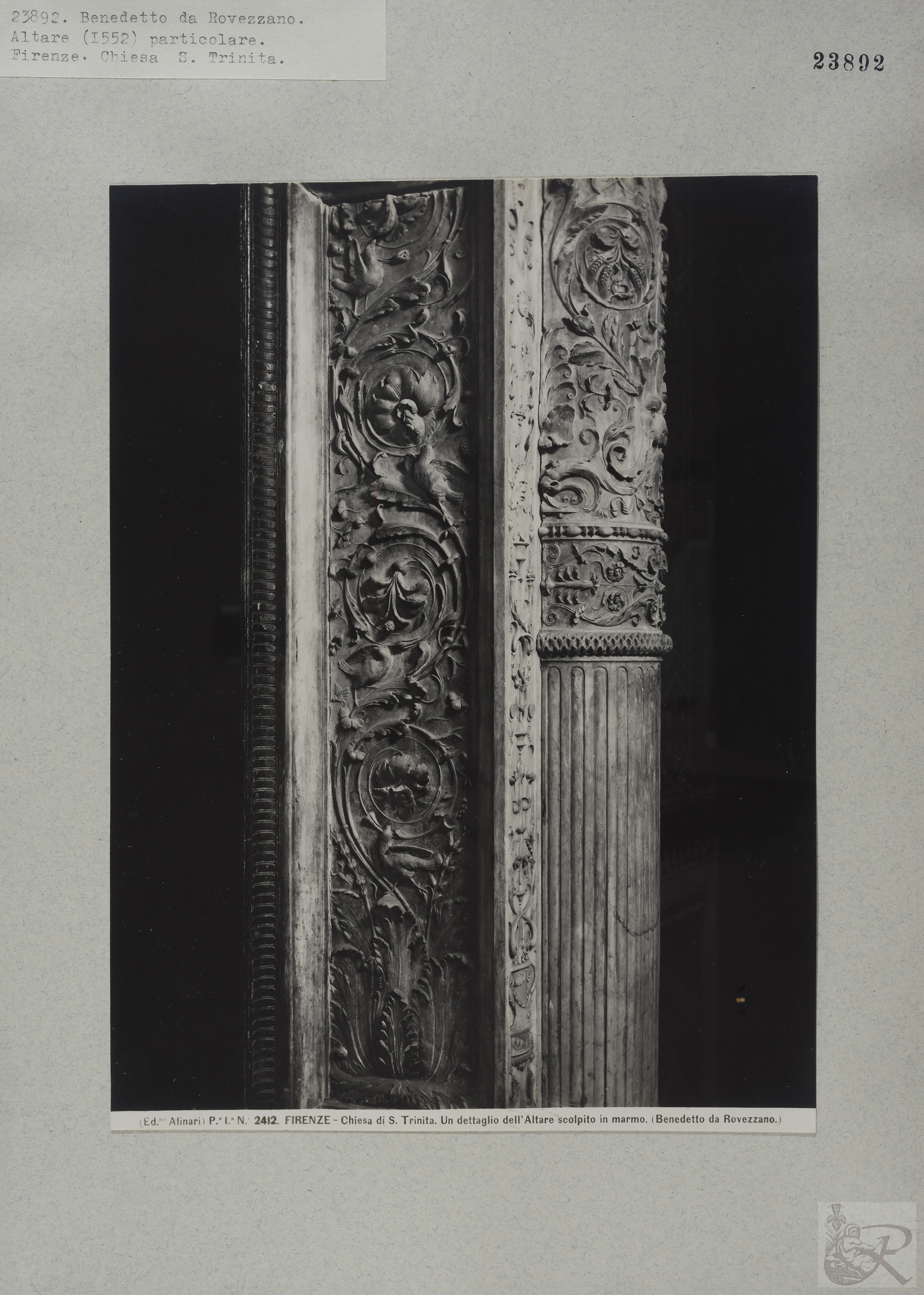 Immagine di anteprima