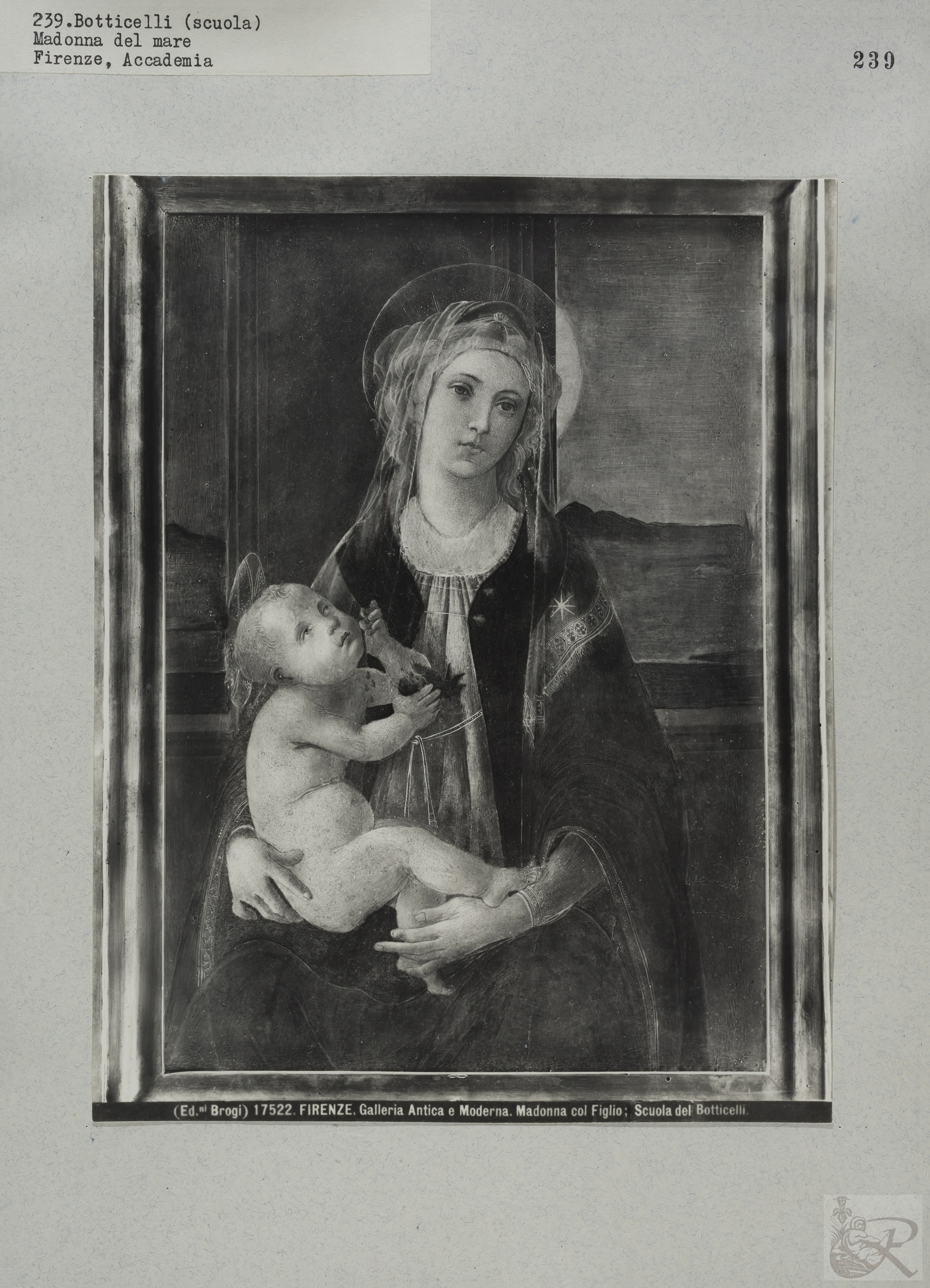 Immagine di anteprima