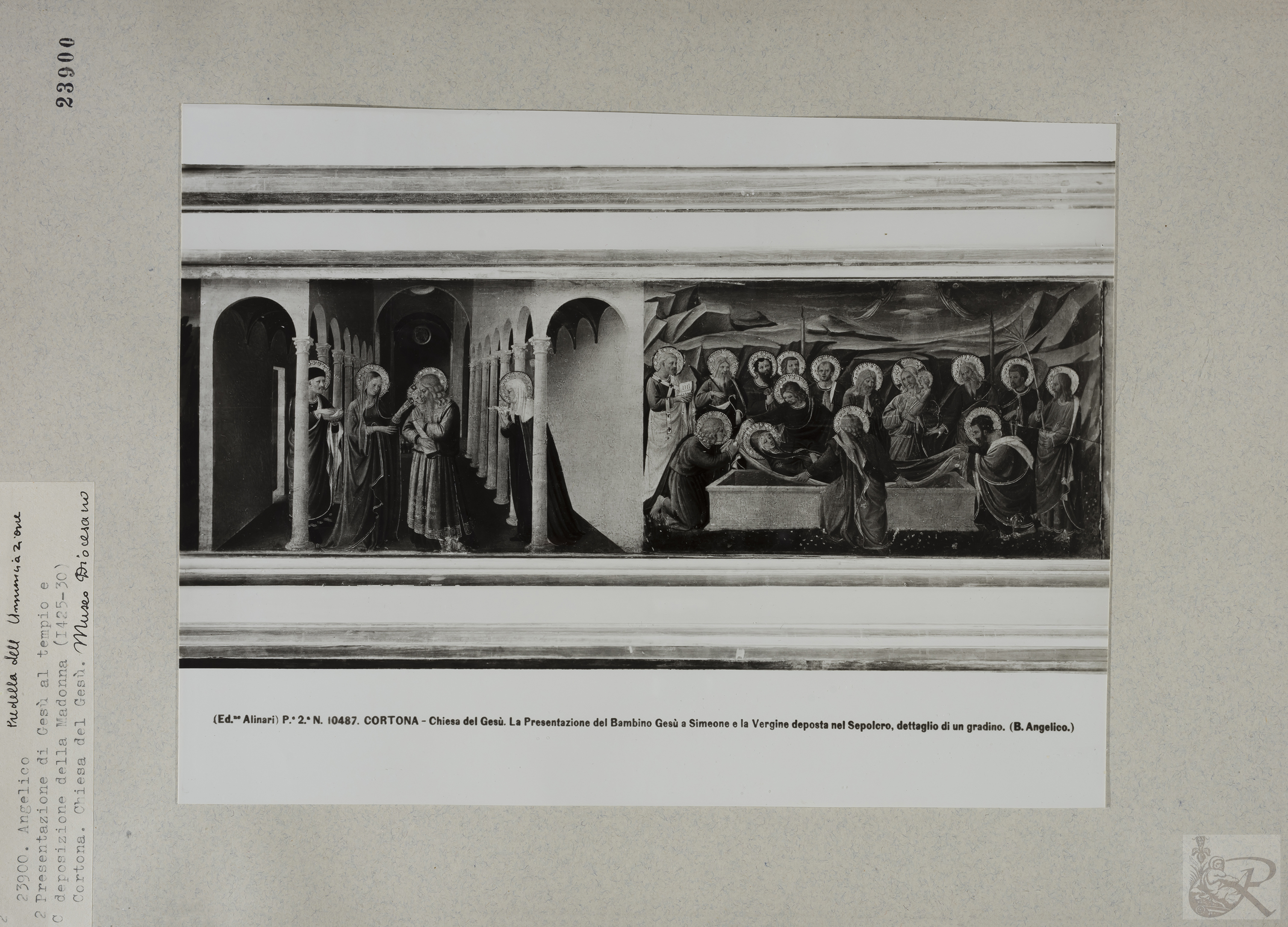 Immagine di anteprima