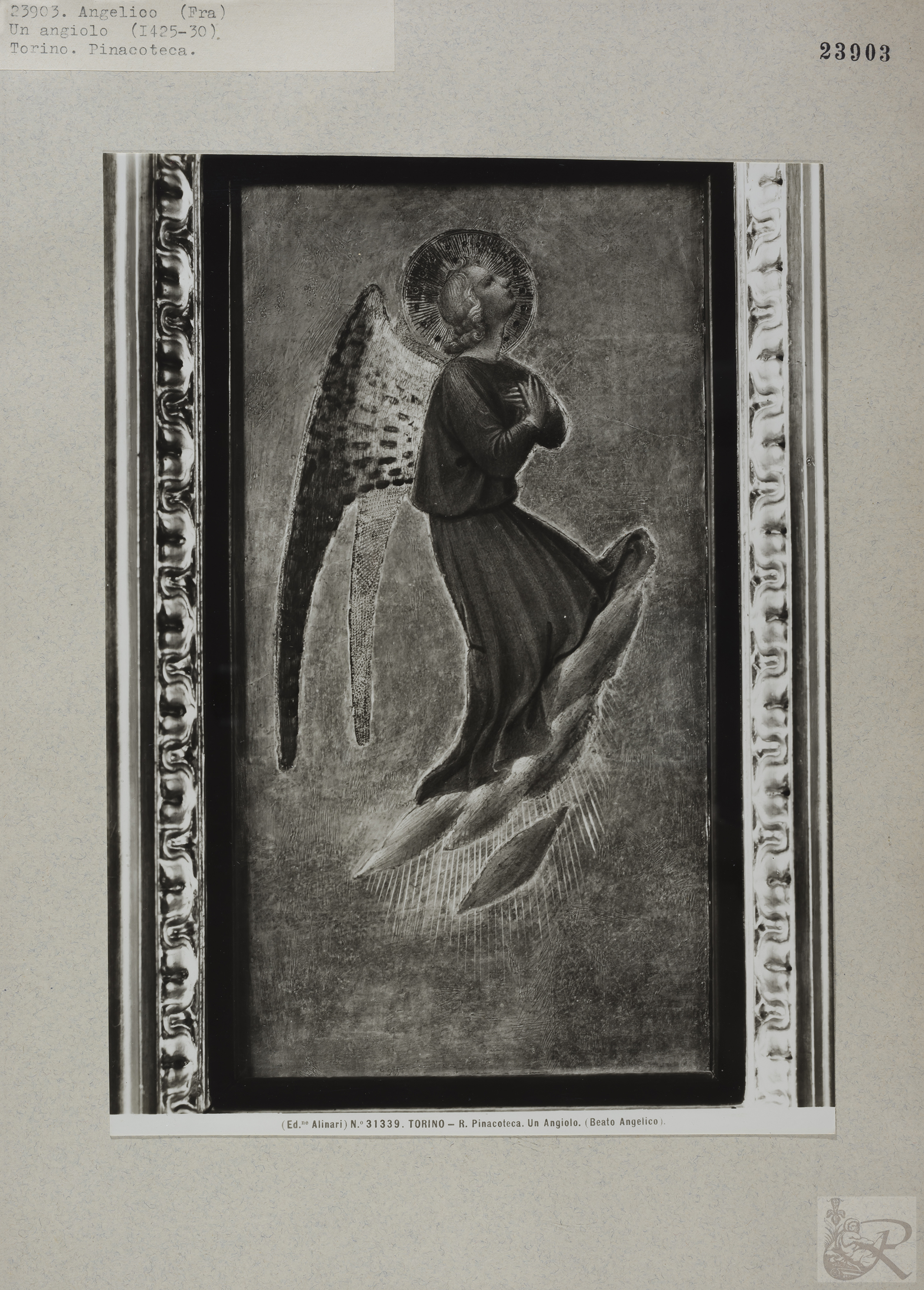 Immagine di anteprima