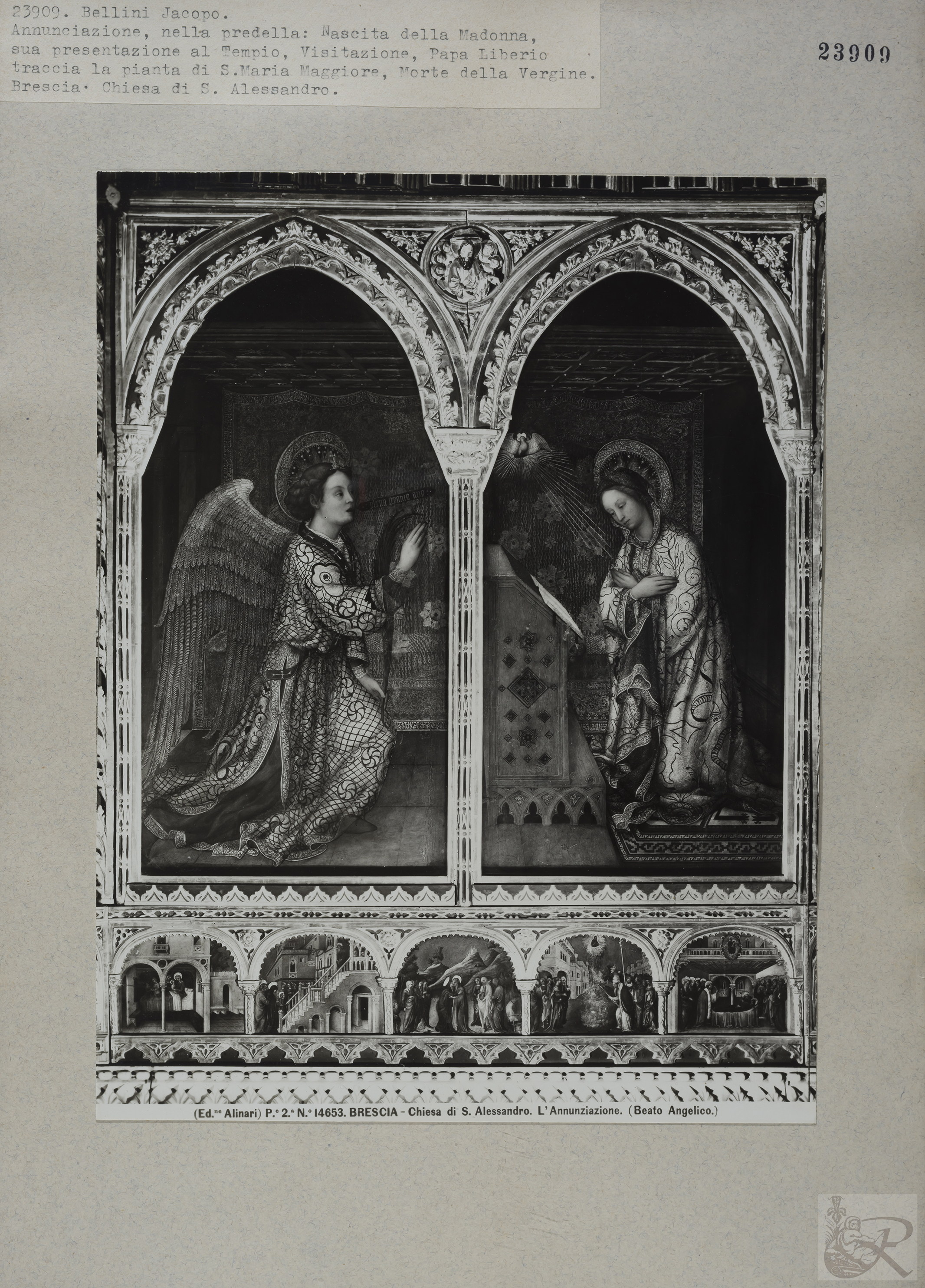 Immagine di anteprima