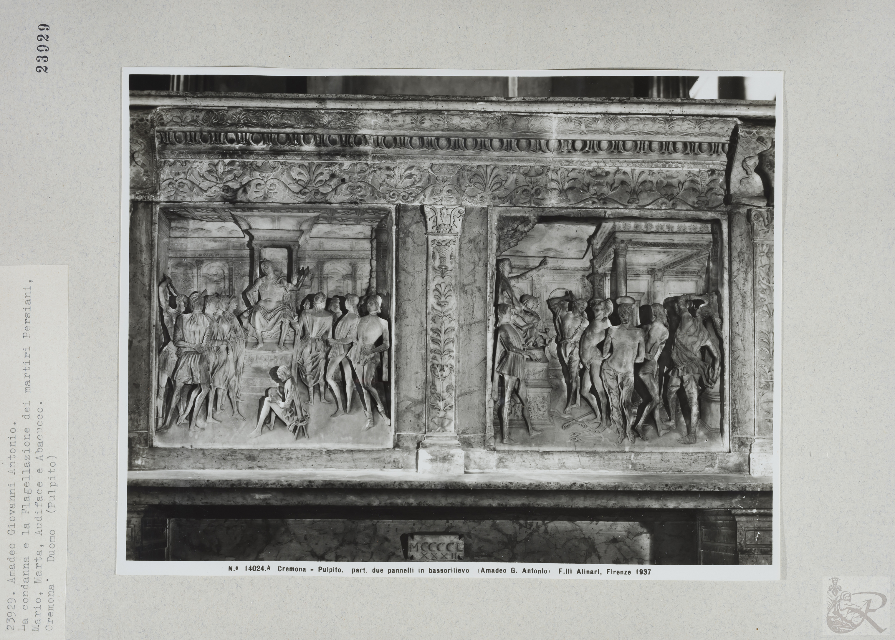 Immagine di anteprima