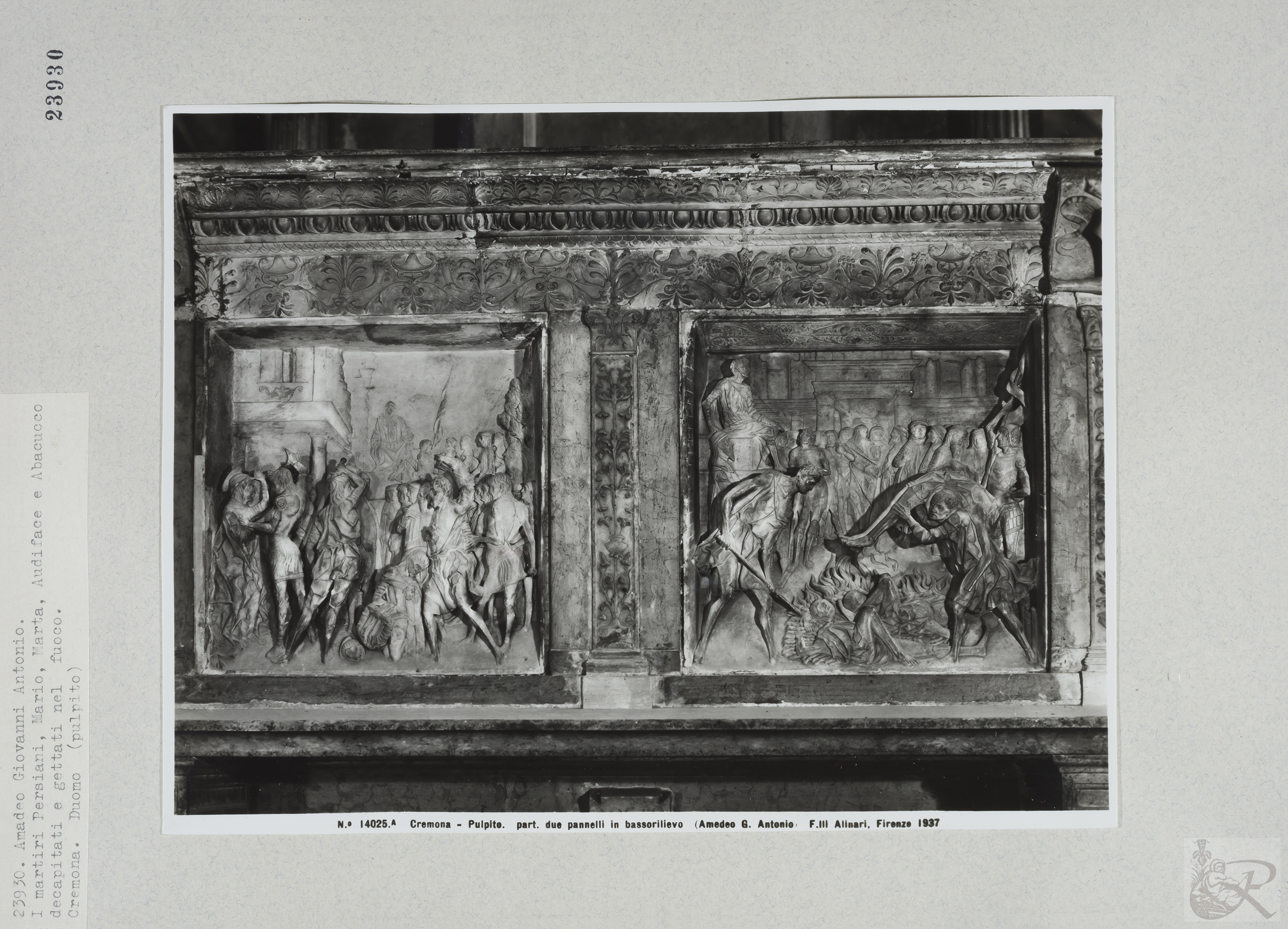 Immagine di anteprima