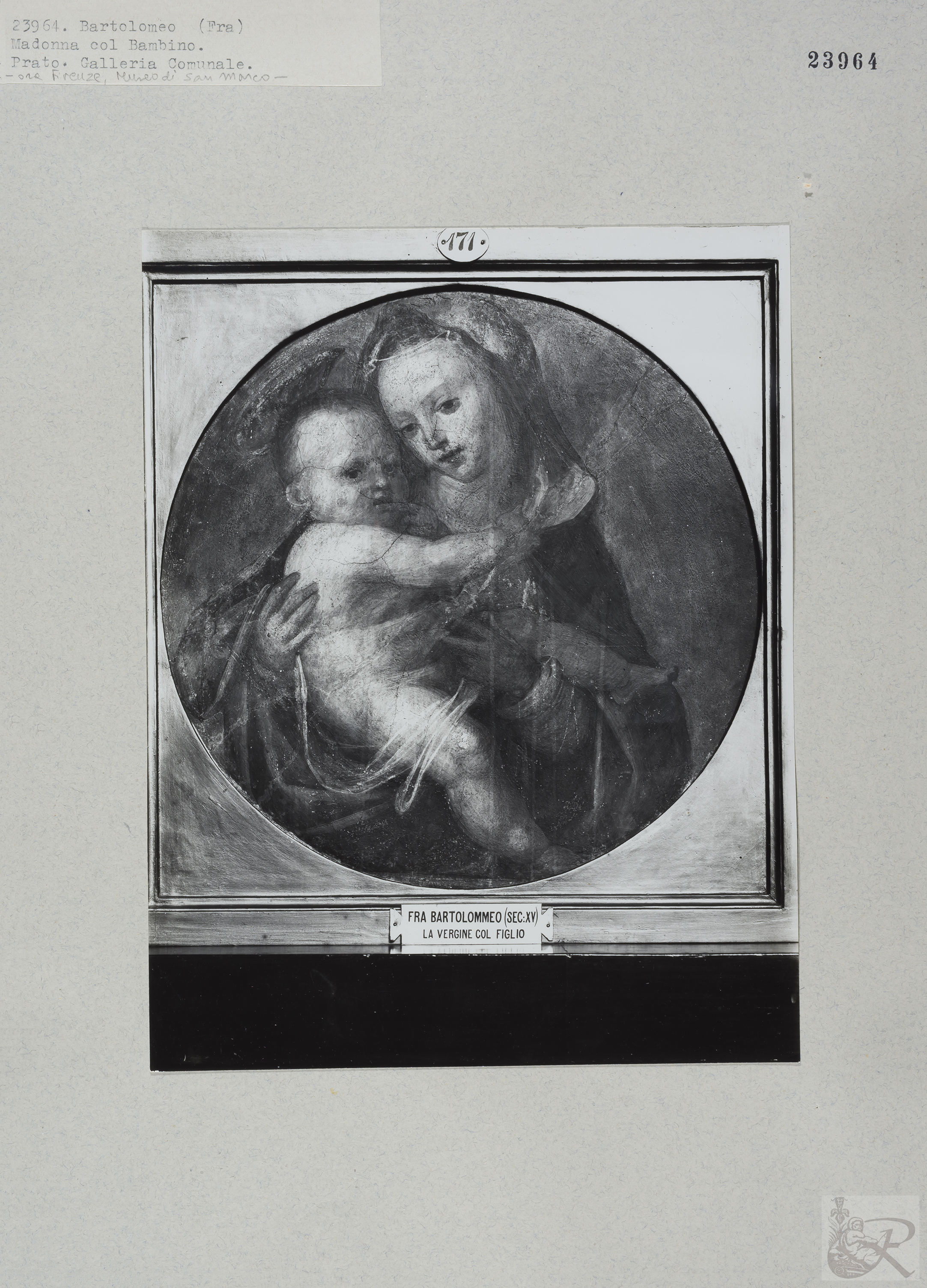 Immagine di anteprima