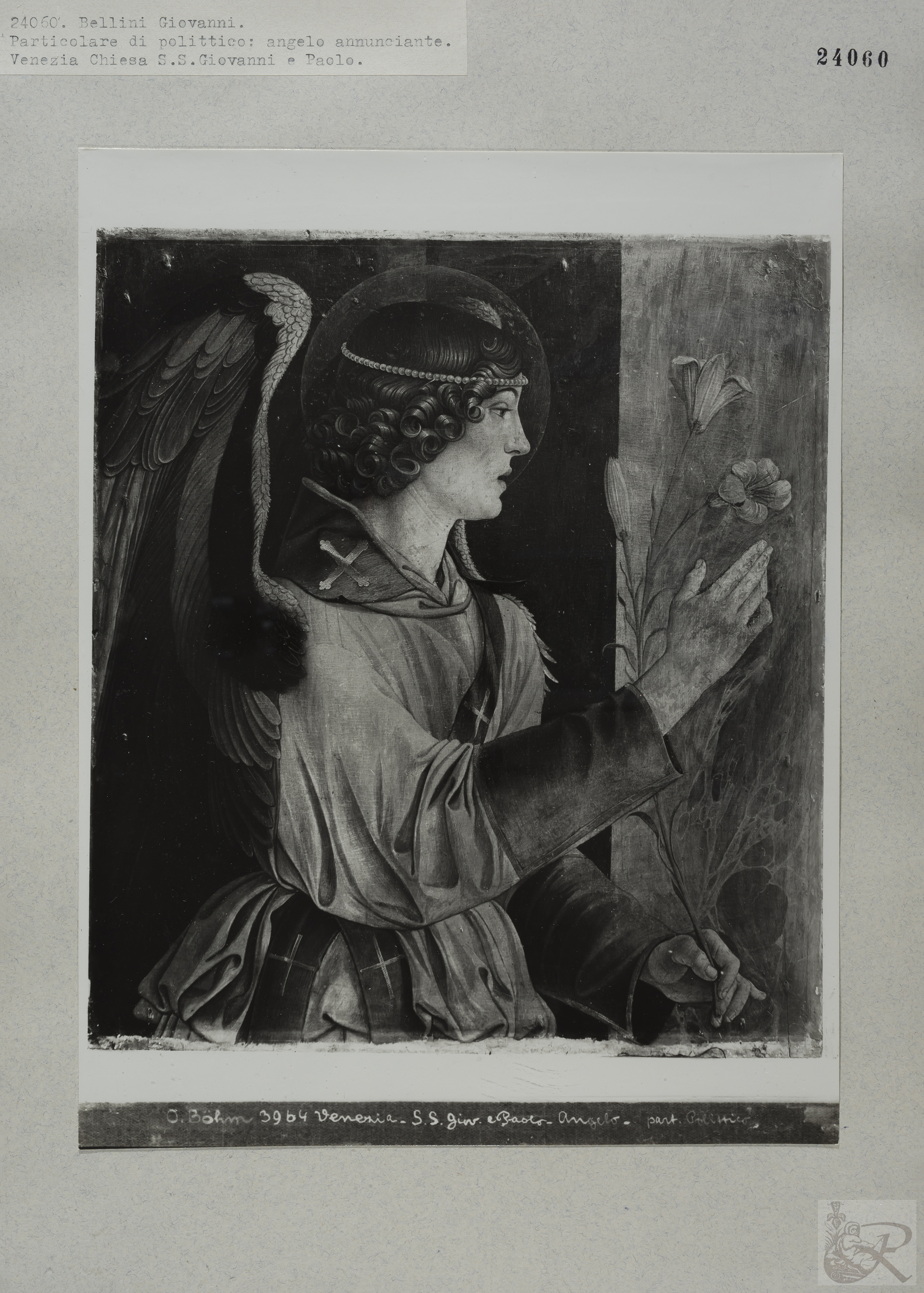 Immagine di anteprima