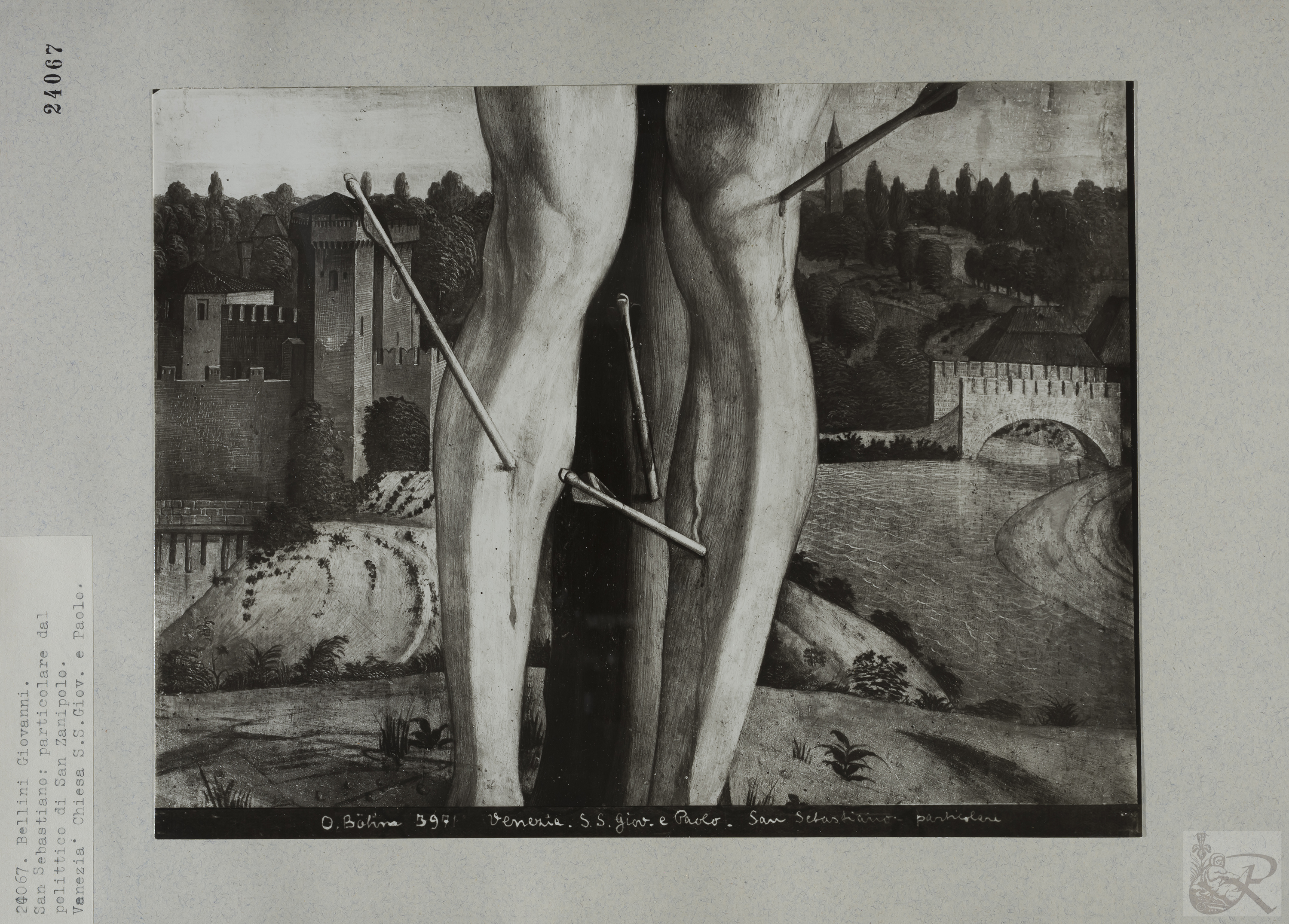 Immagine di anteprima