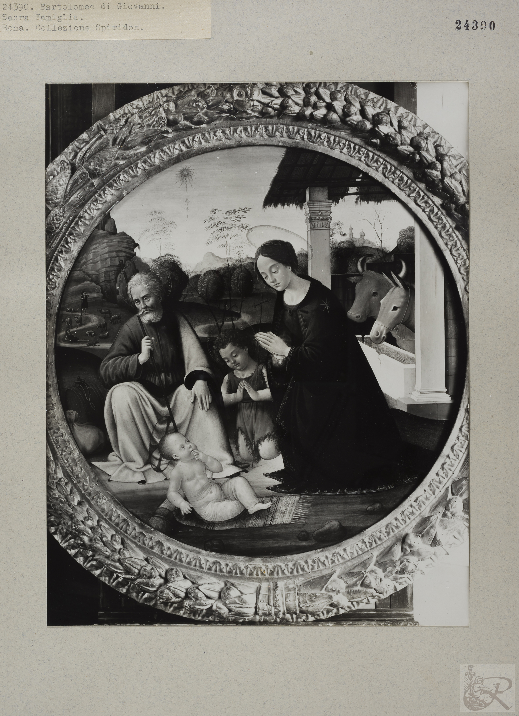 Immagine di anteprima