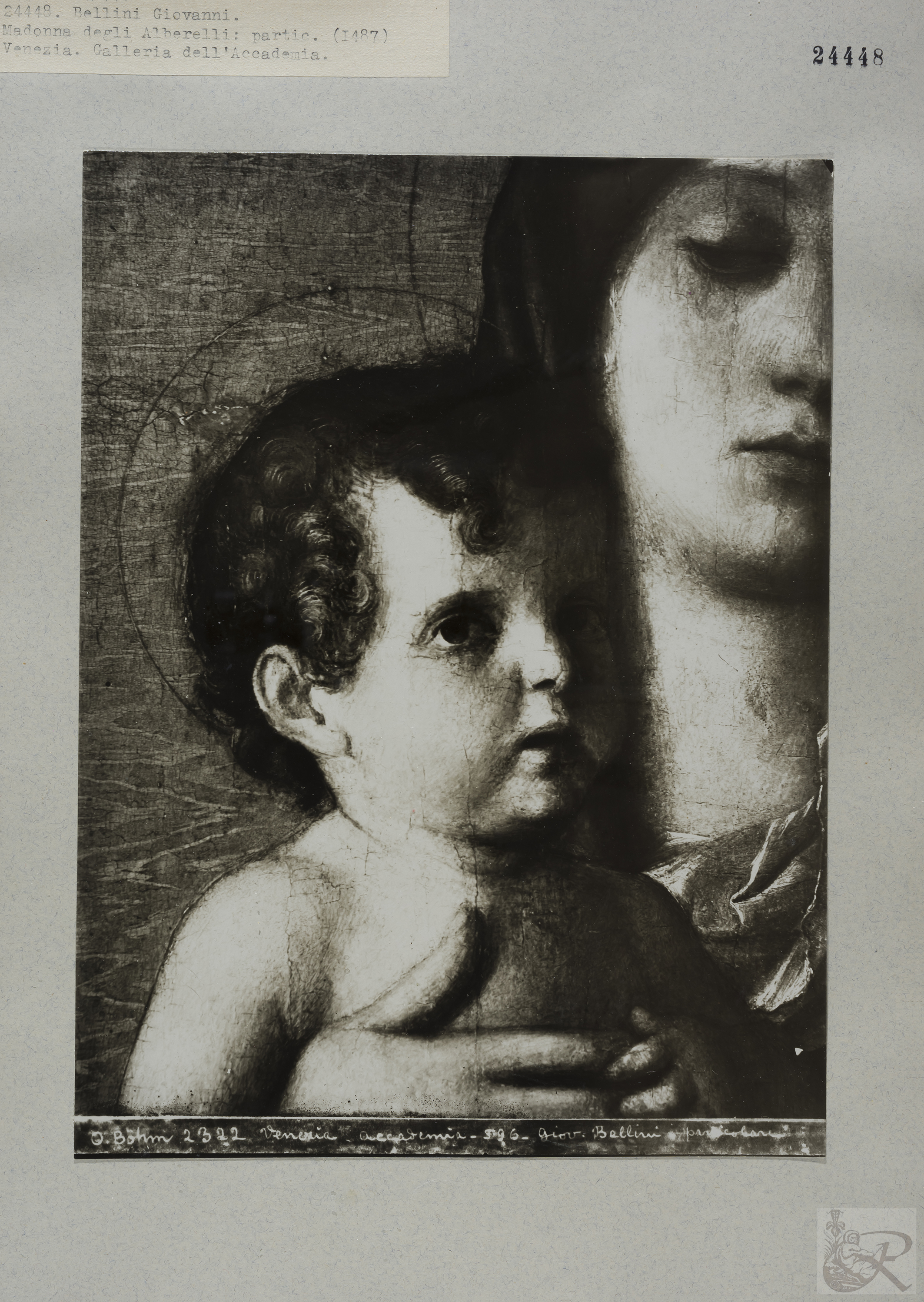 Immagine di anteprima