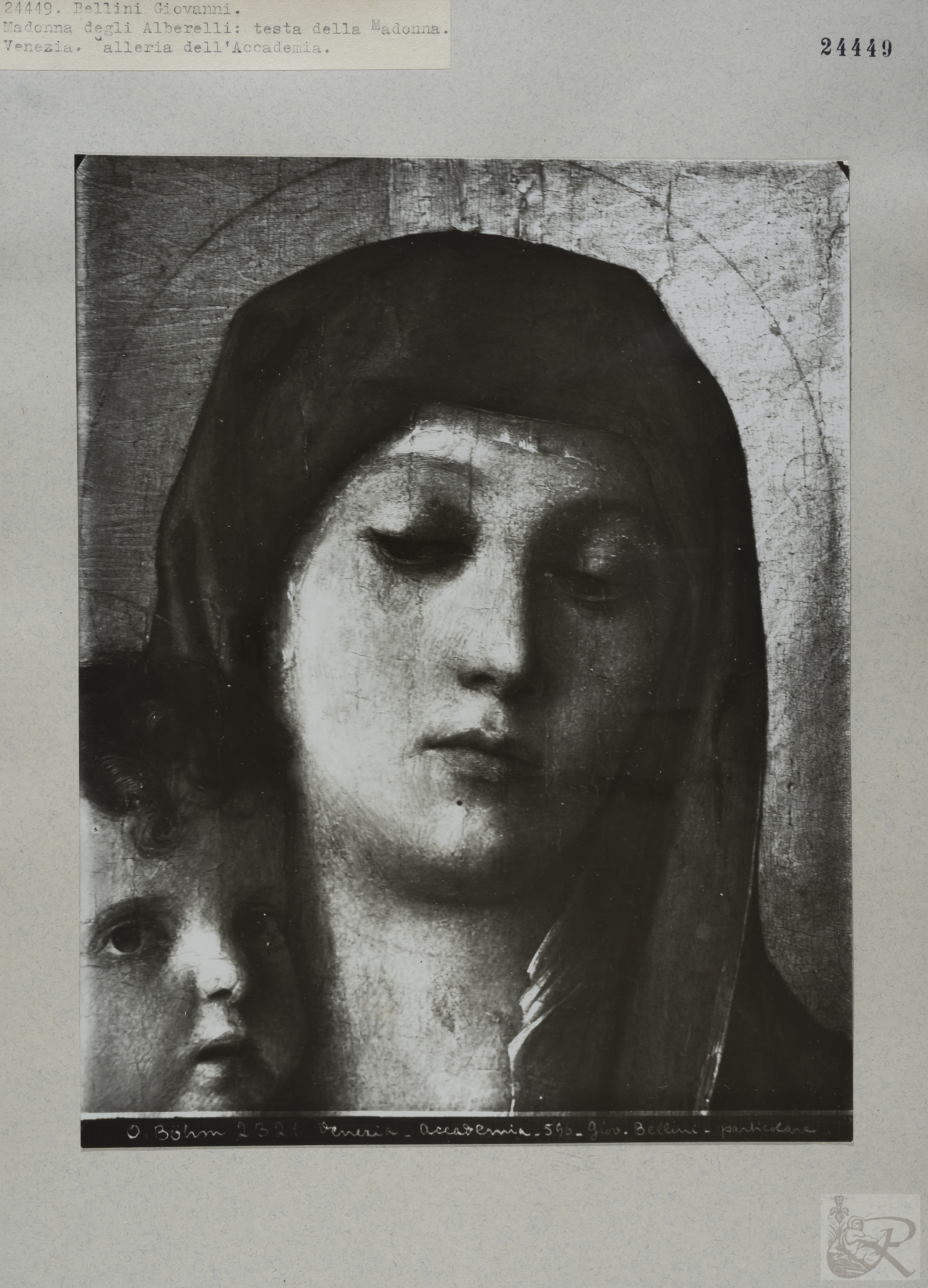 Immagine di anteprima