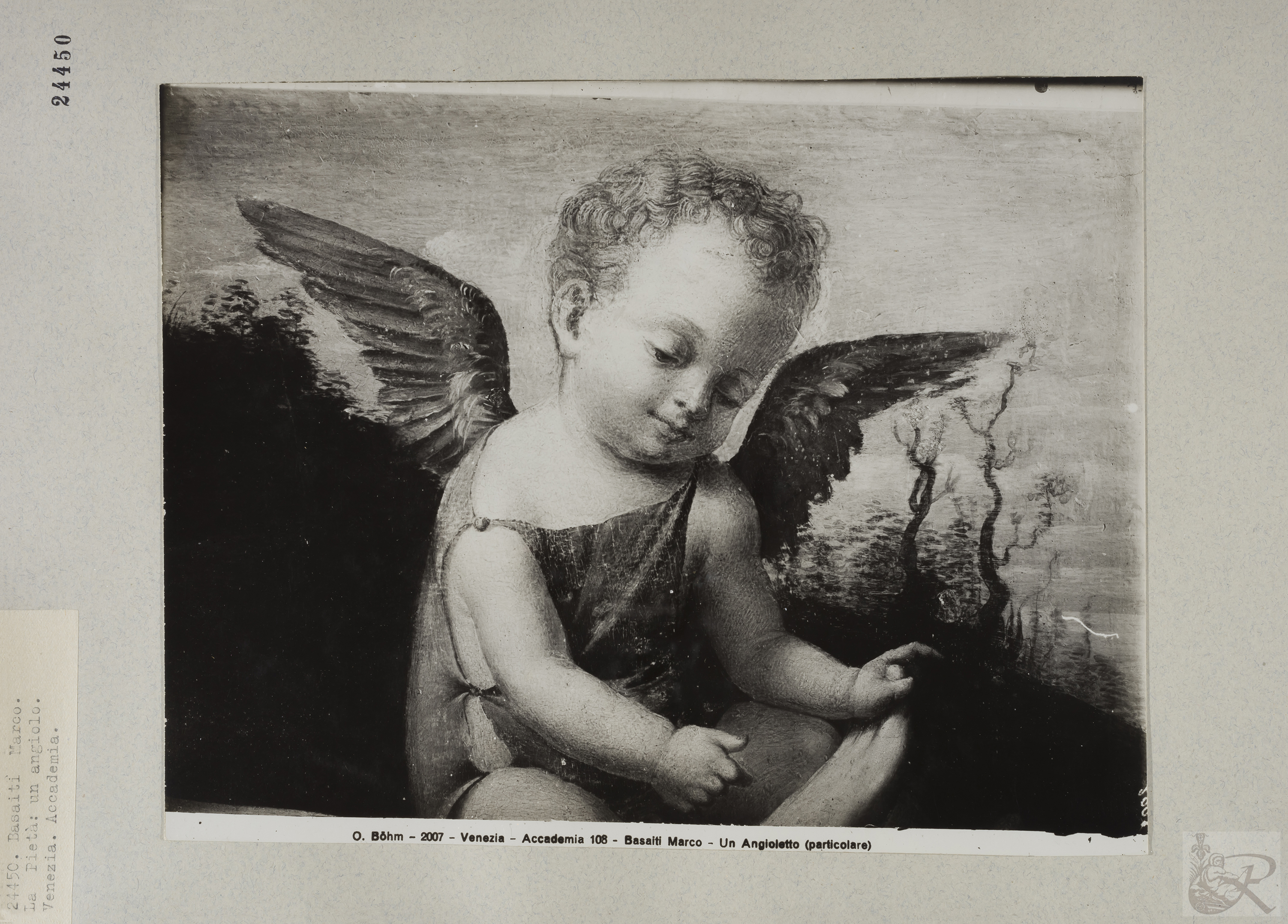 Immagine di anteprima