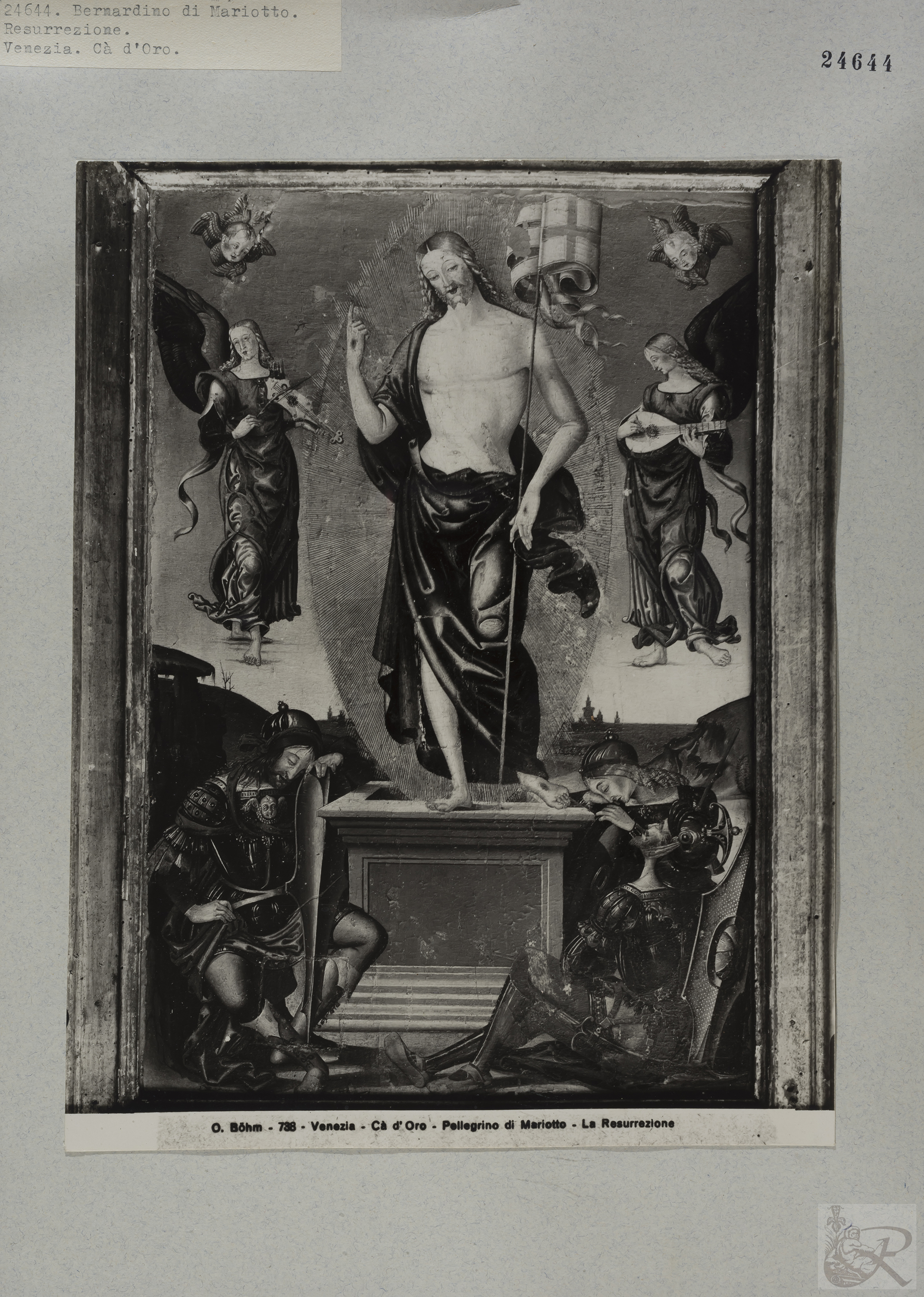 Immagine di anteprima