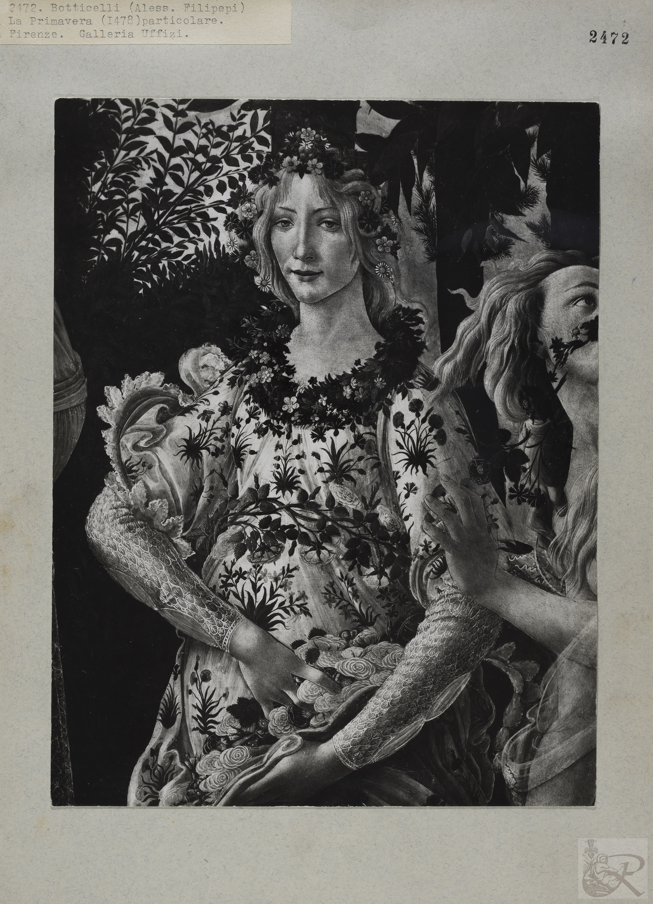 Immagine di anteprima