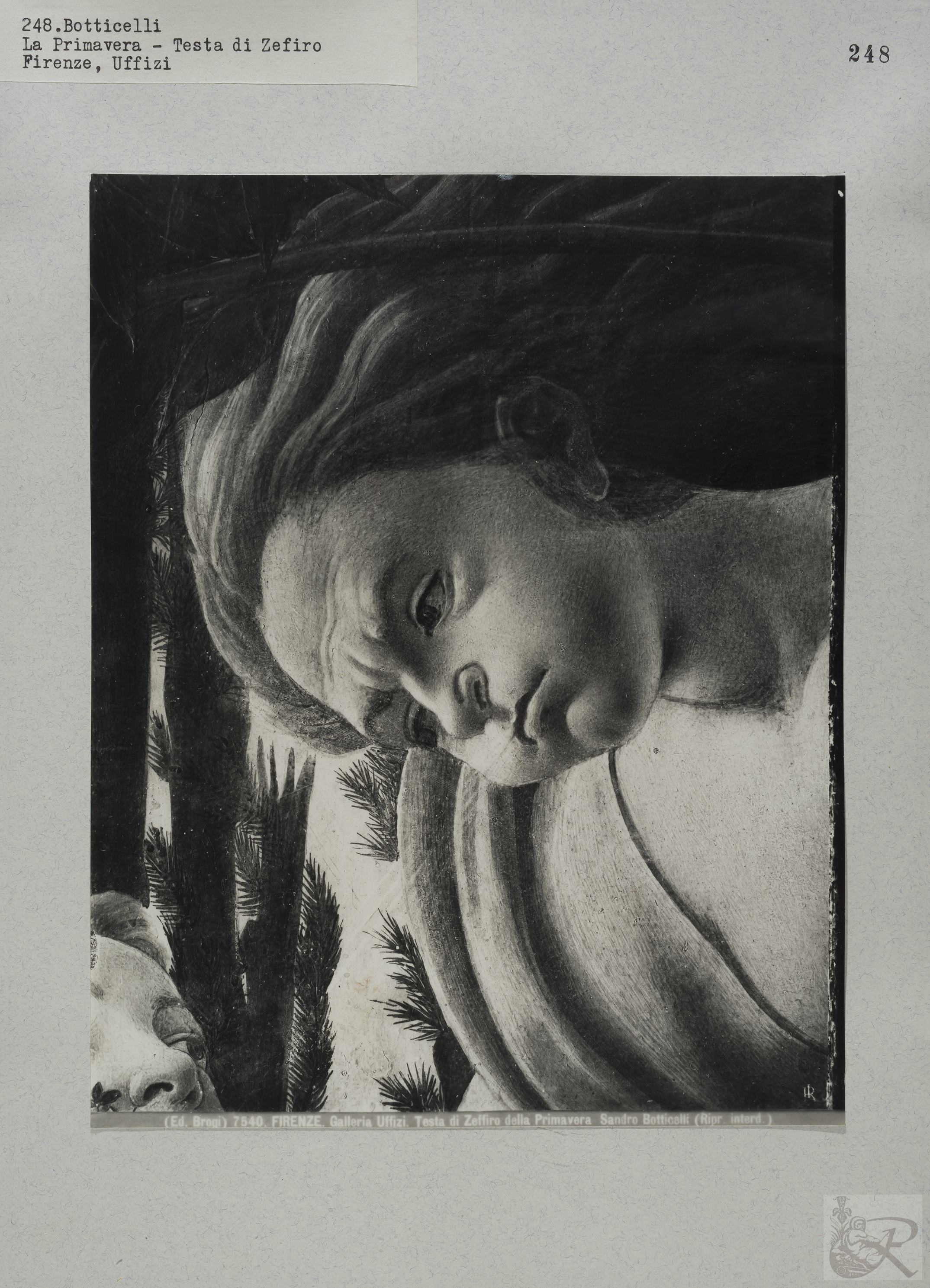 Immagine di anteprima