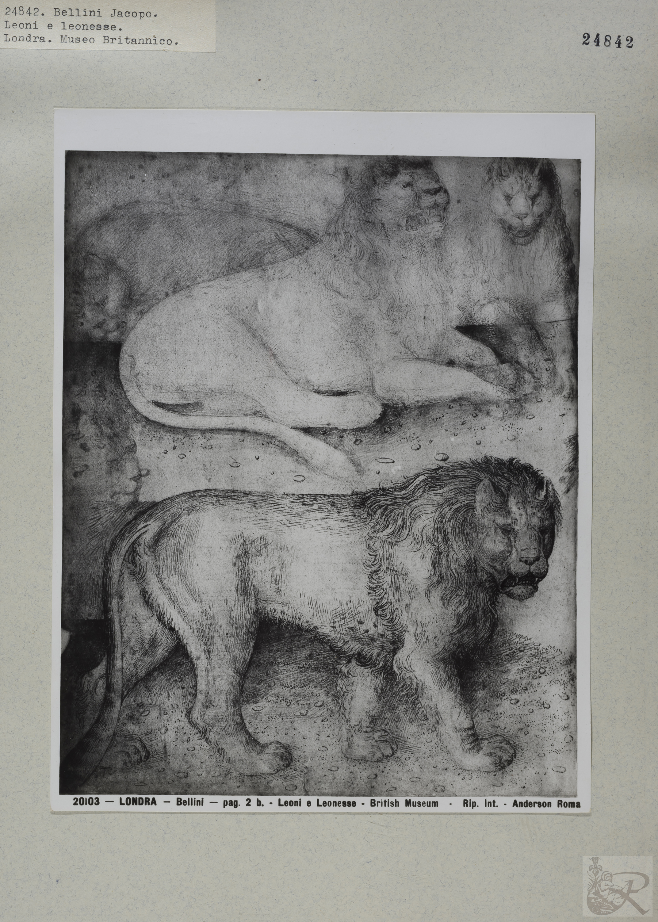 Immagine di anteprima