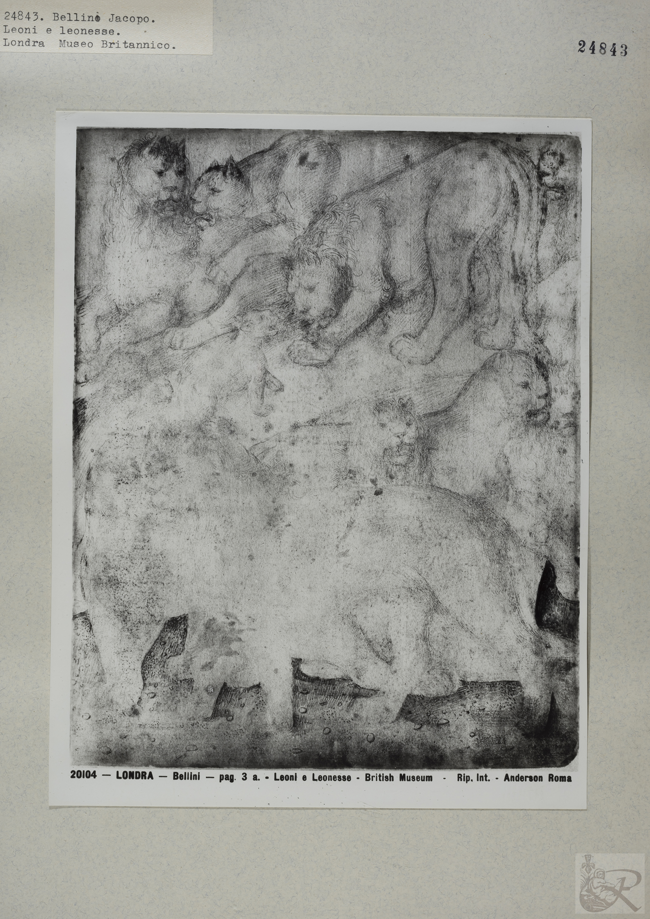 Immagine di anteprima