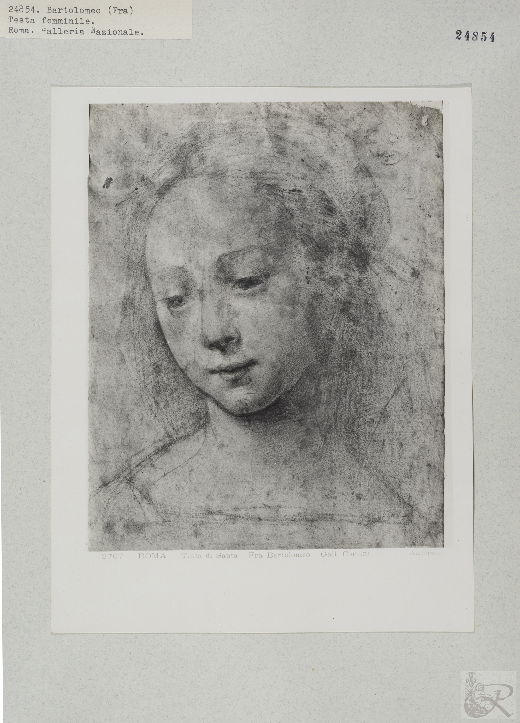 Immagine di anteprima