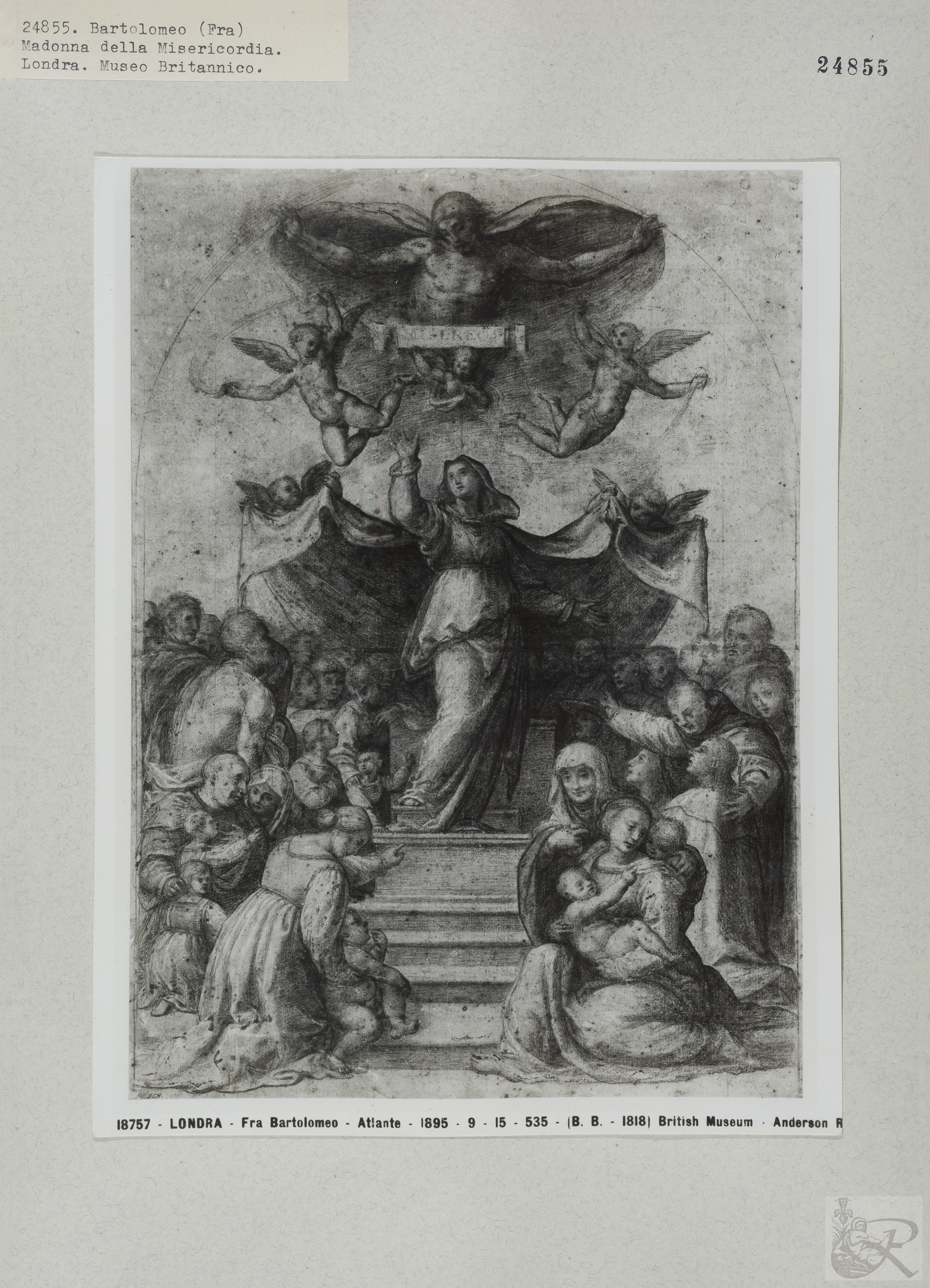 Immagine di anteprima